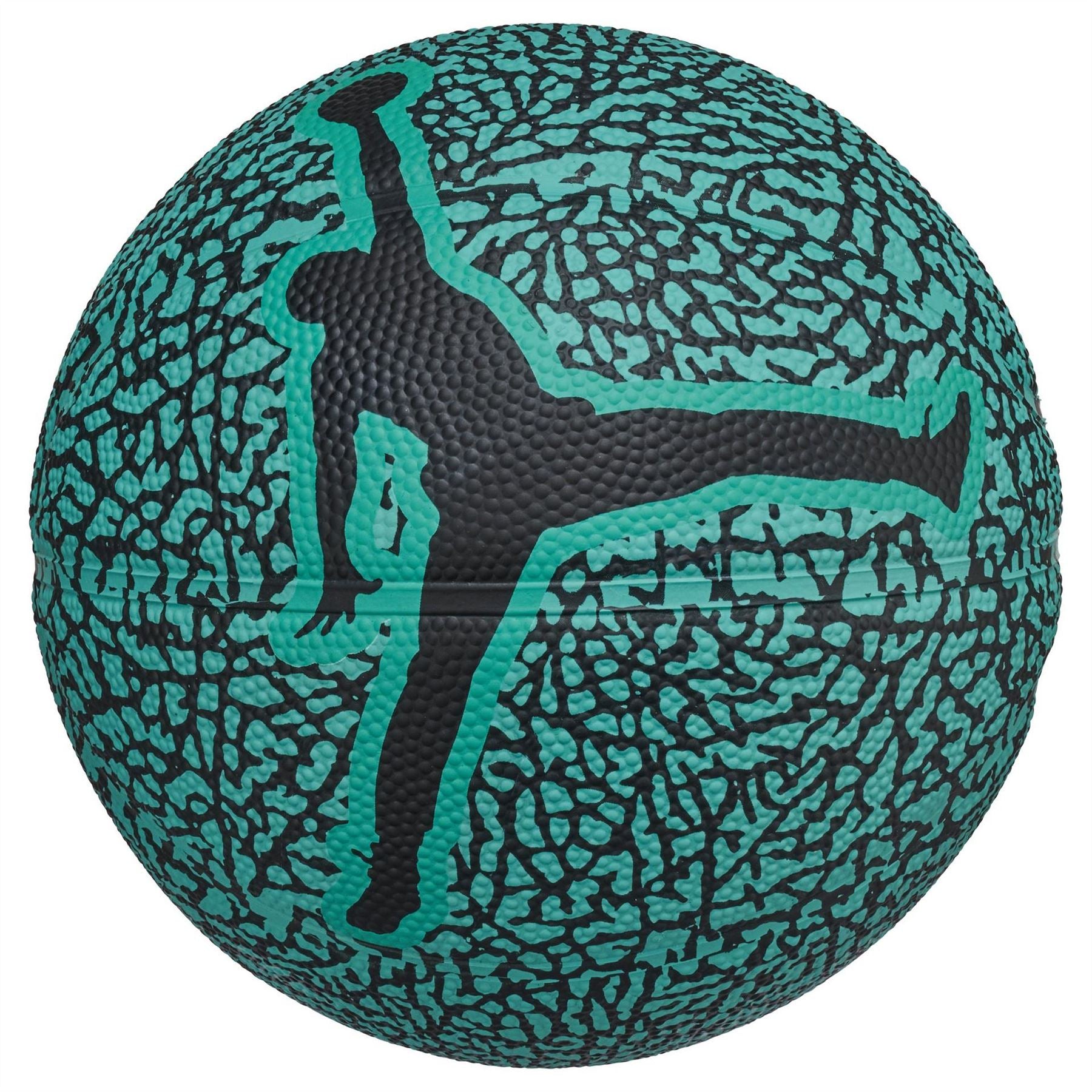 Air Jordan Mini Graphic Skills Basketball