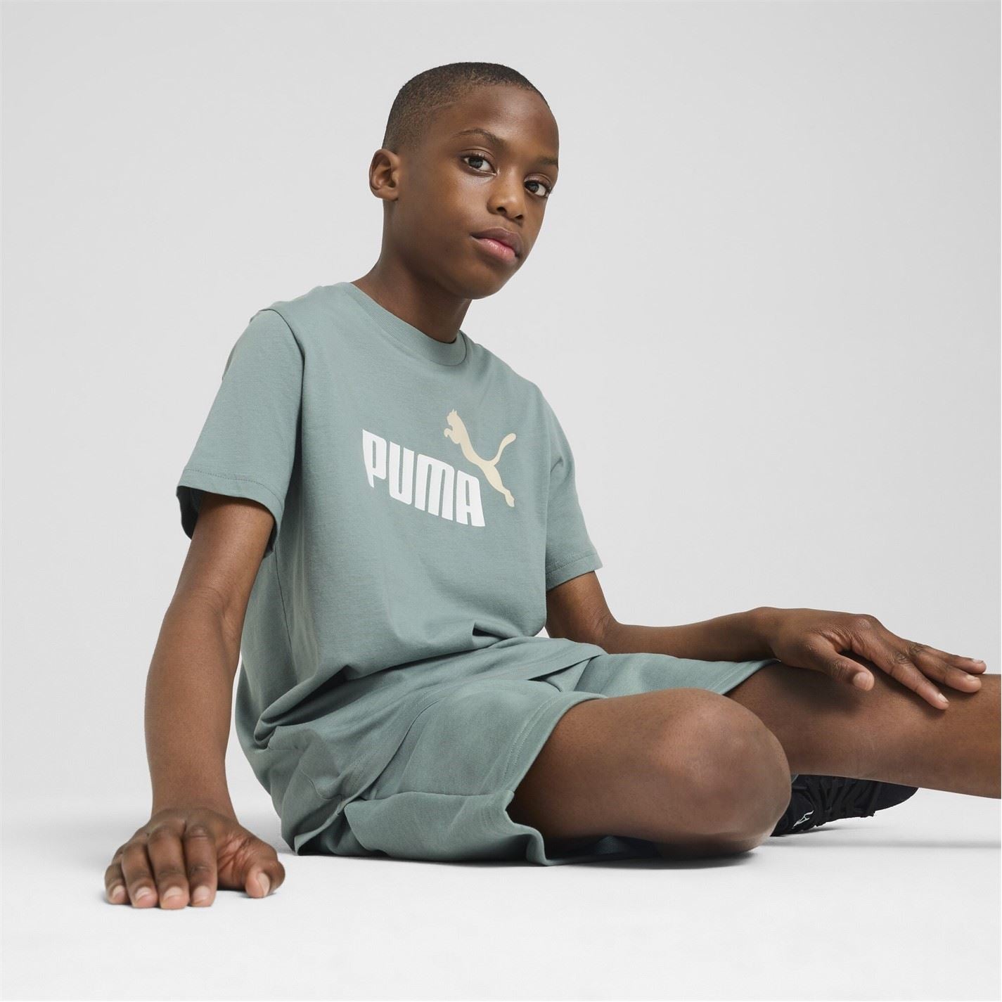 Puma Essentials Graphic Regular Fit T Shirt