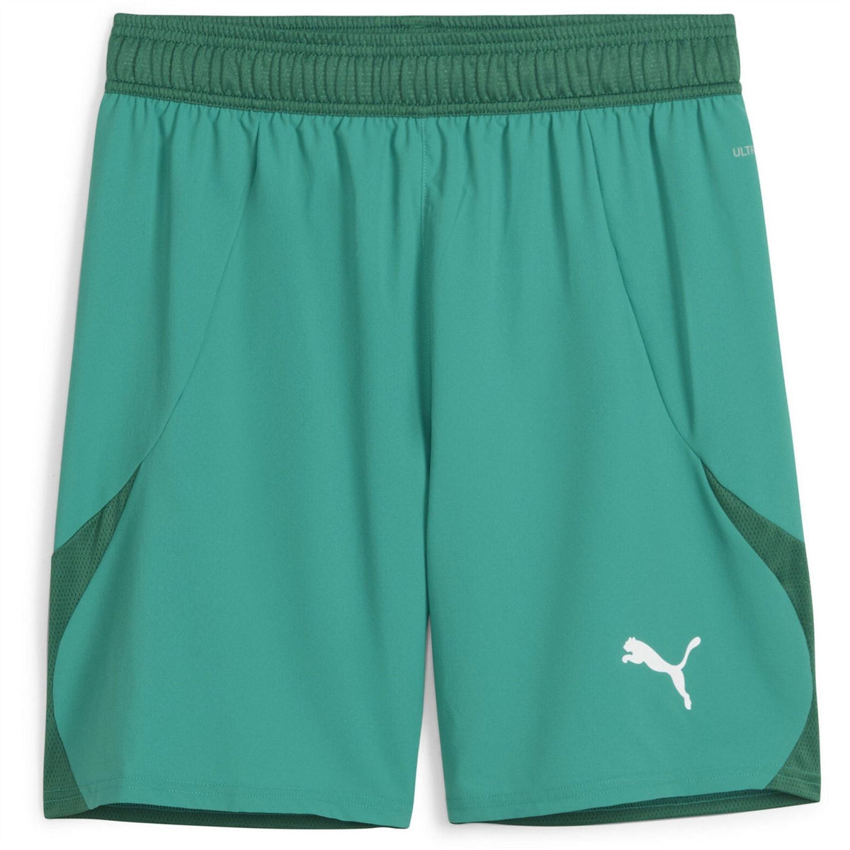 Puma Mens Teamfinal Shorts Football Shorts
