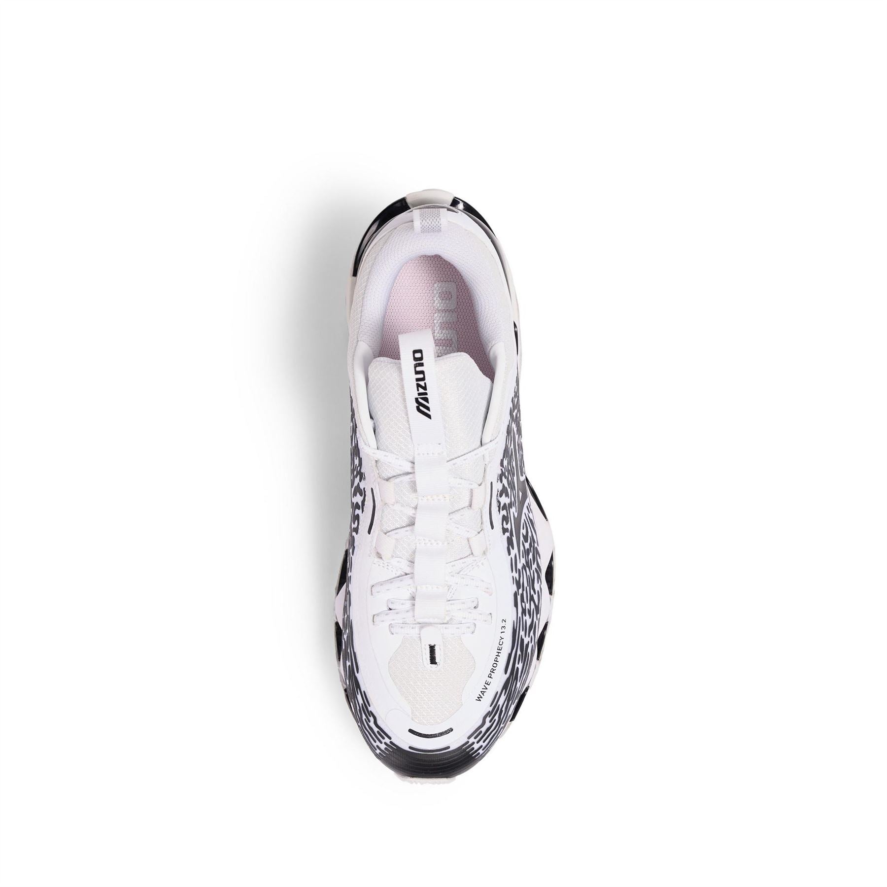 Mizuno Wave Prophecy