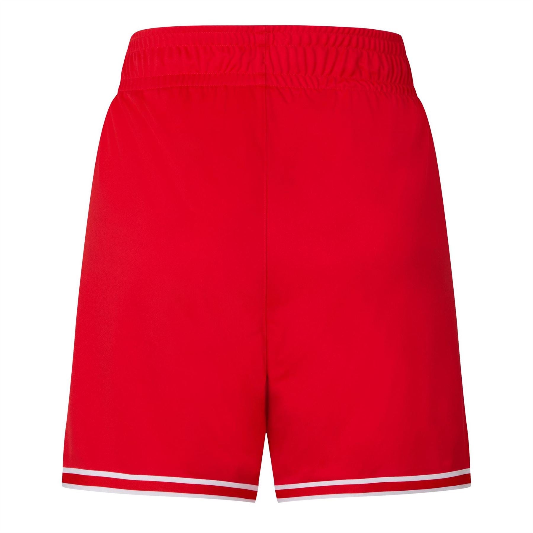 Puma Hoops Team Game Performance Shorts