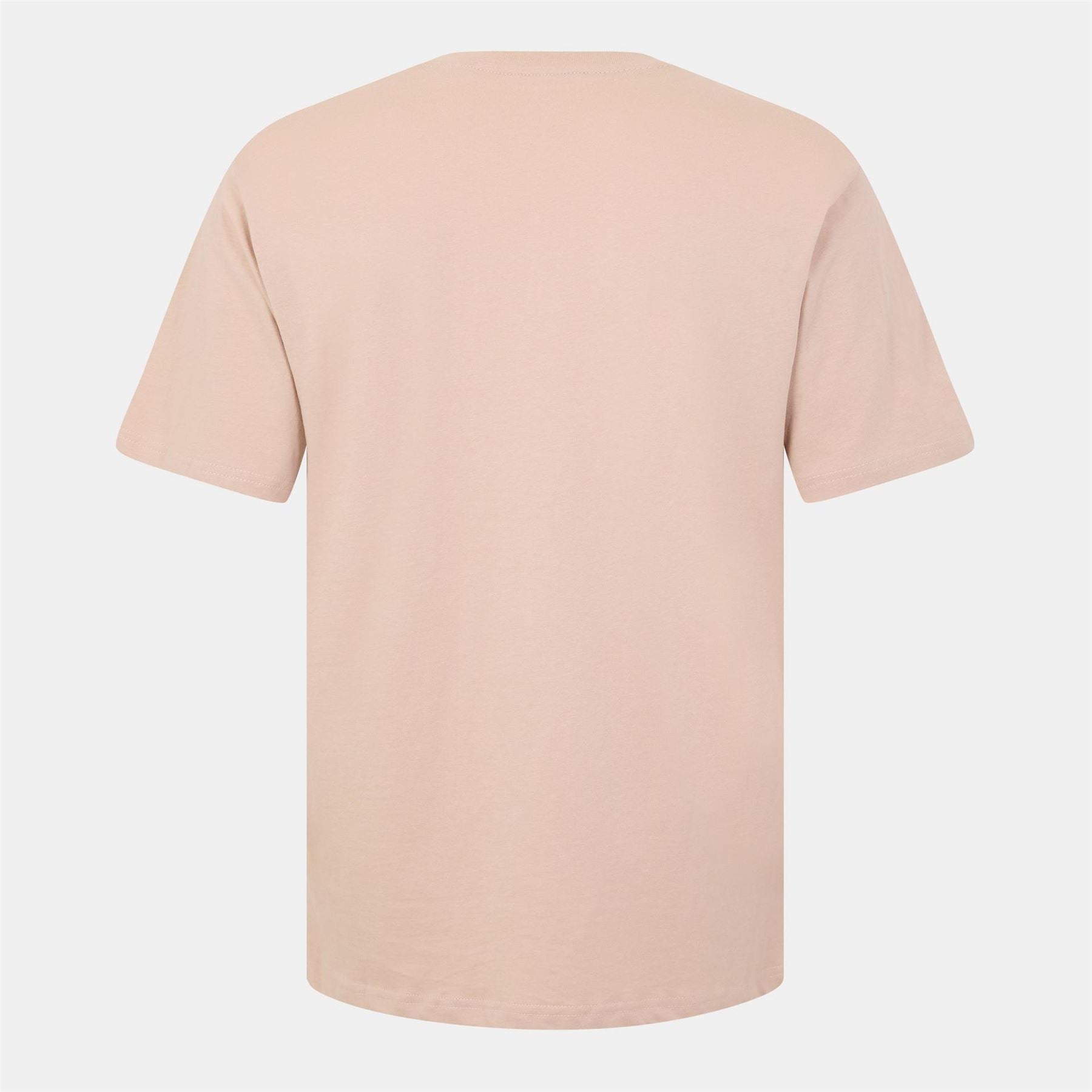 Threadbare Reid Lettering Regular Fit T-Shirt