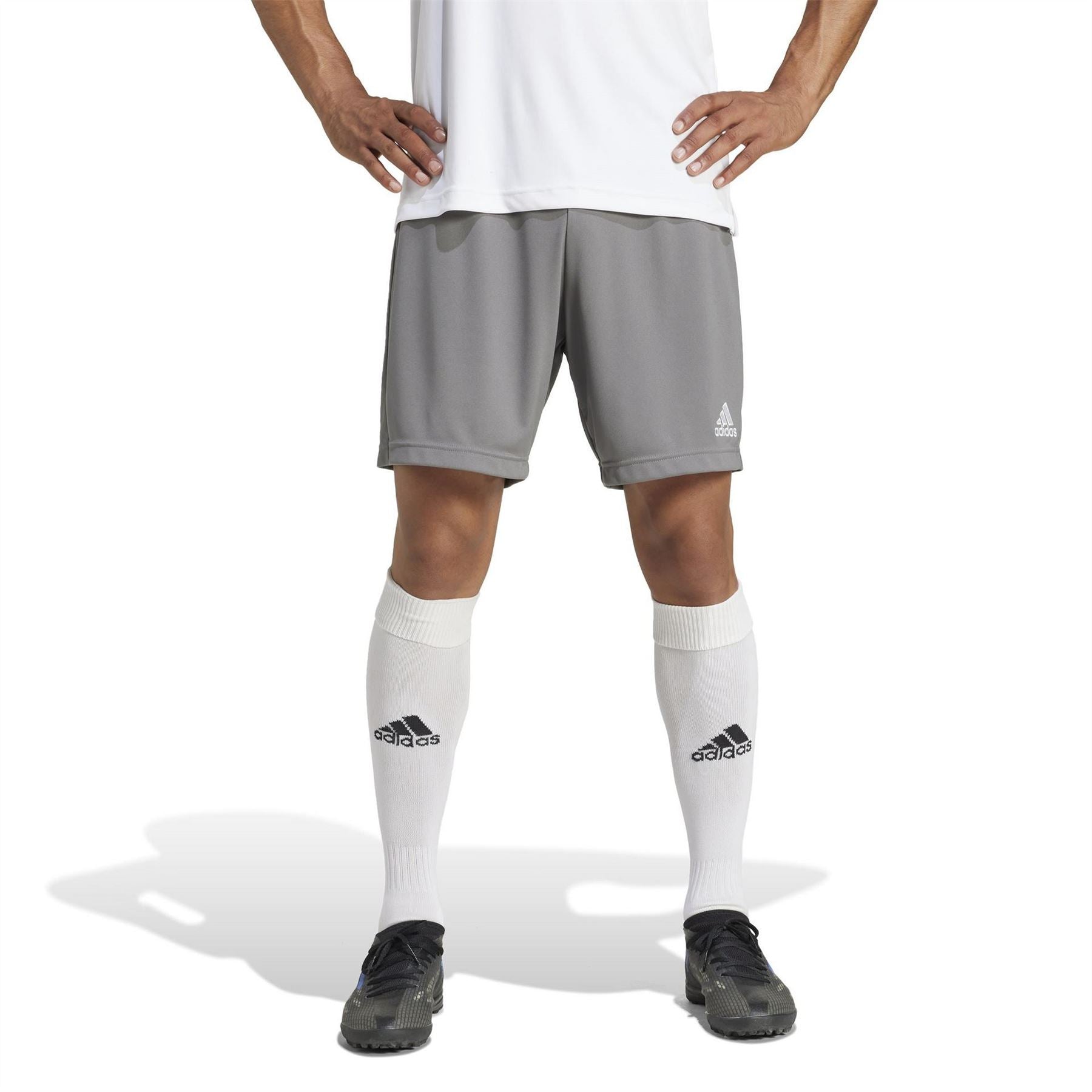adidas Mens Entrada 22 Shorts
