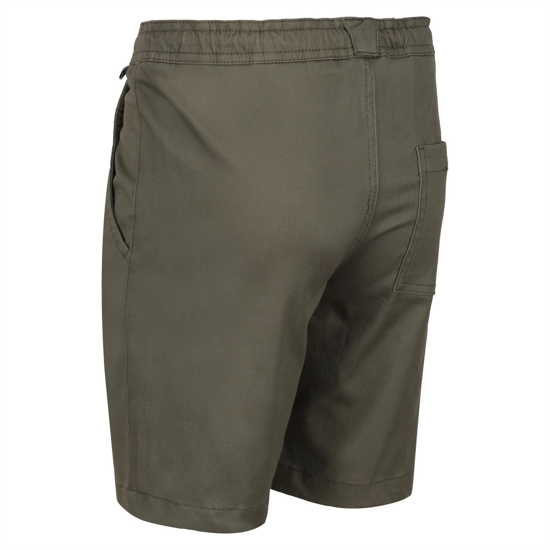 Regatta Alber Chino Shorts