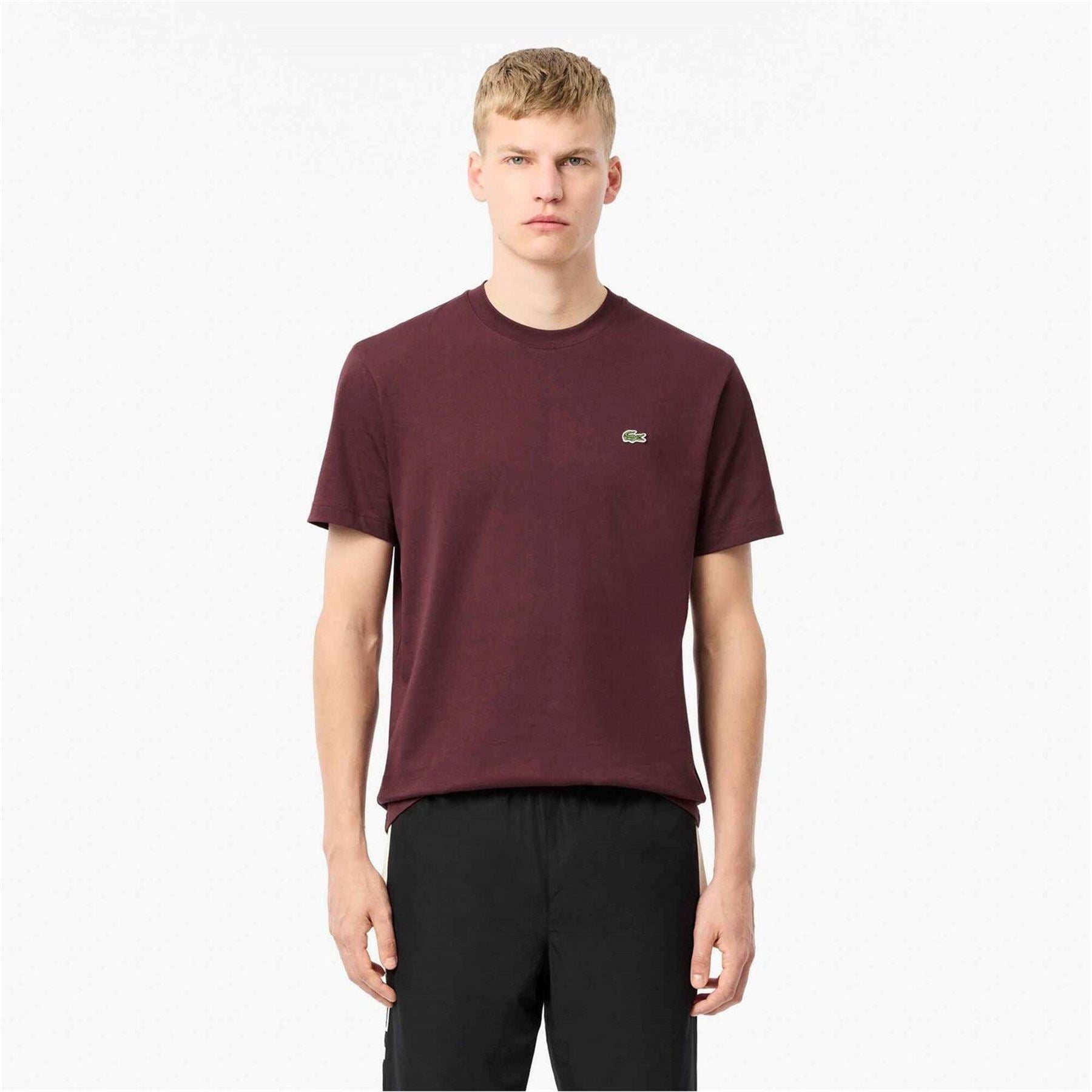 Lacoste Regular Fit Small Logo T-Shirt