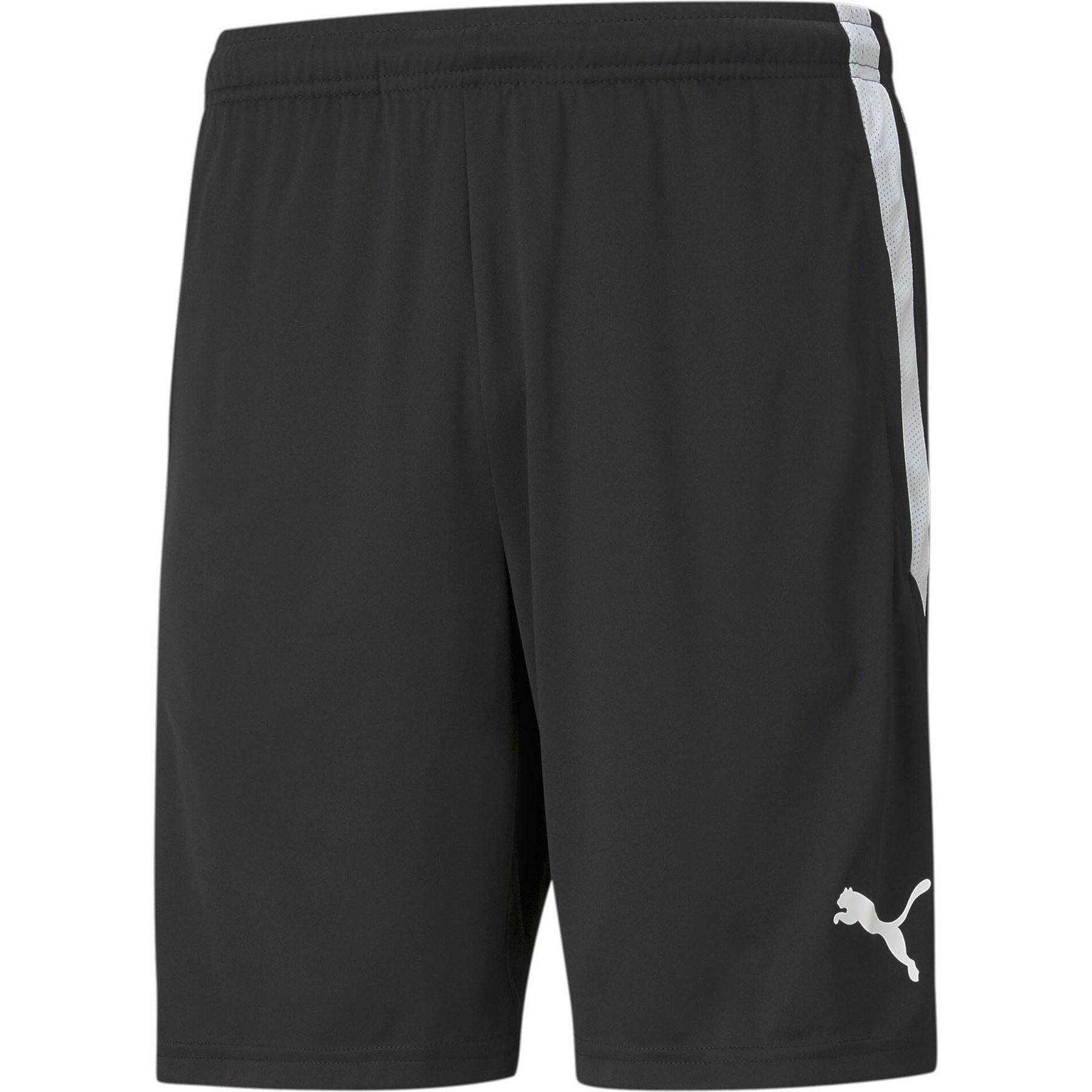 Puma Mens Teamliga Training Shorts Football Shorts