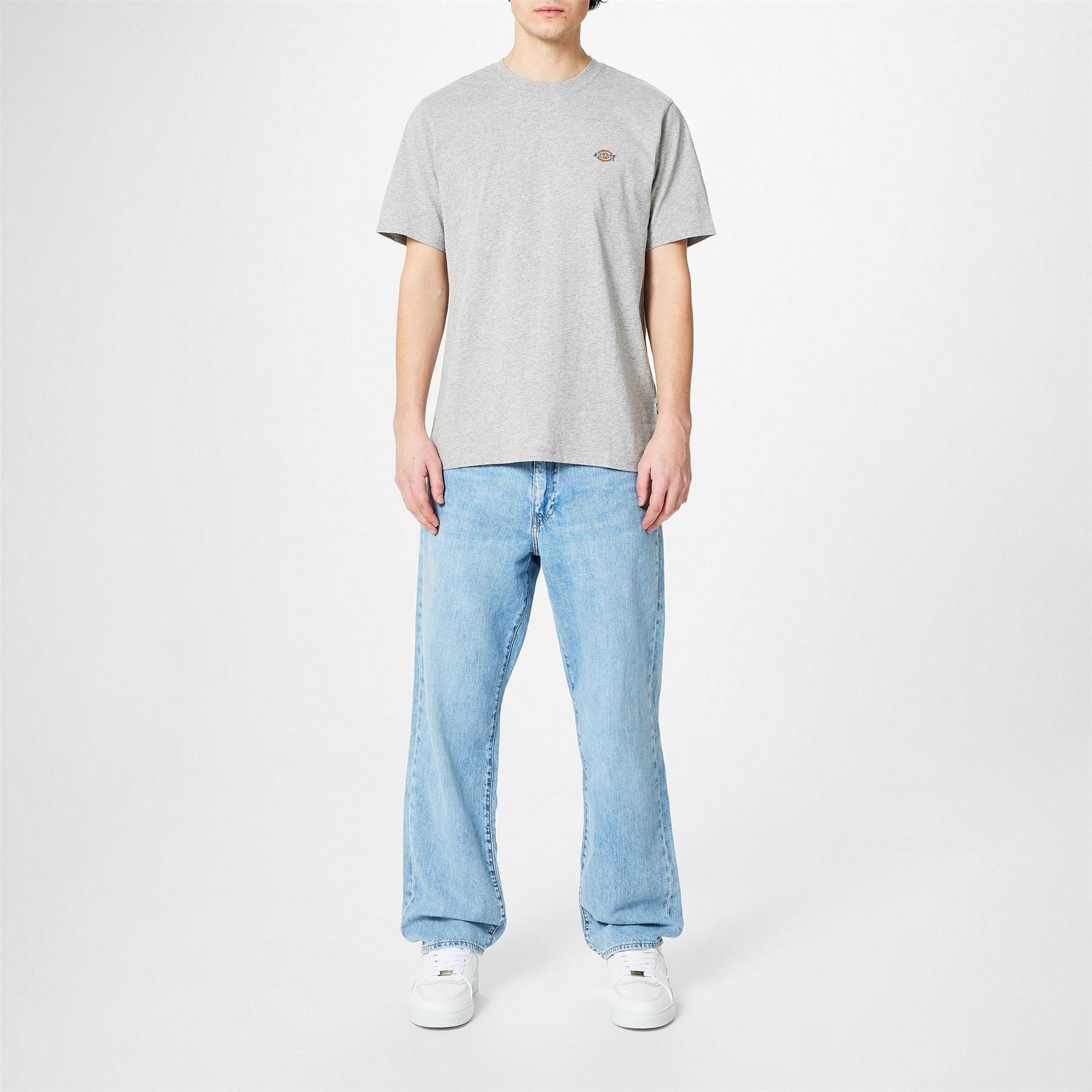 Dickies Regular Fit Mapleton T-Shirt