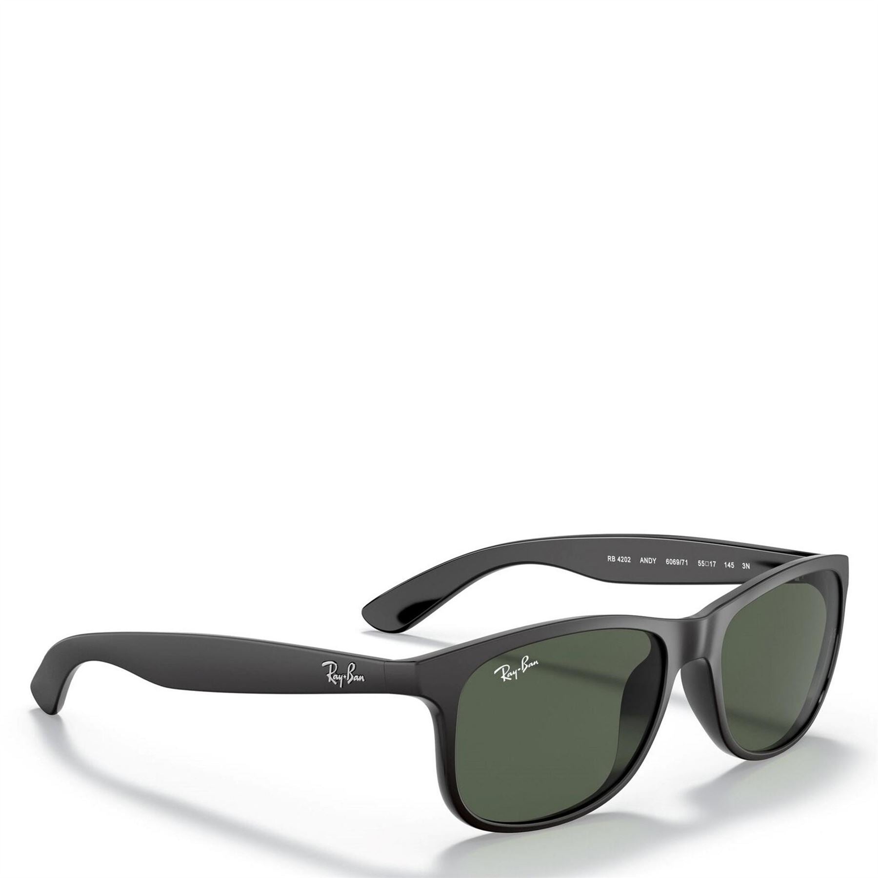 Ray-Ban Ban Matte Black 0rb4202 Square Sunglasses