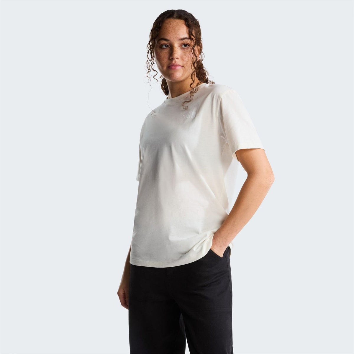 The North Face Evo Box Lifestyle T-Shirt