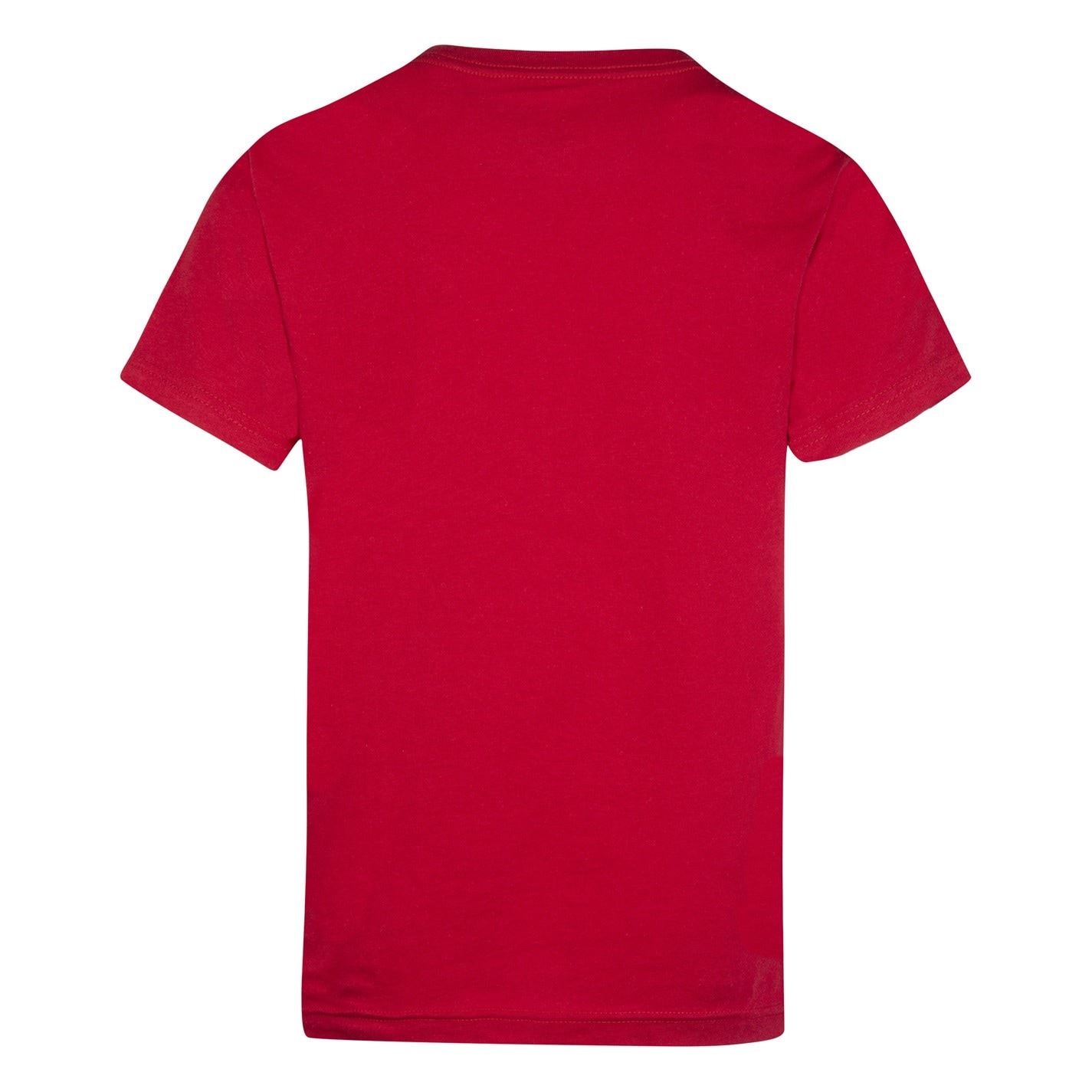 Air Jordan Regular Fit Flight T-Shirt