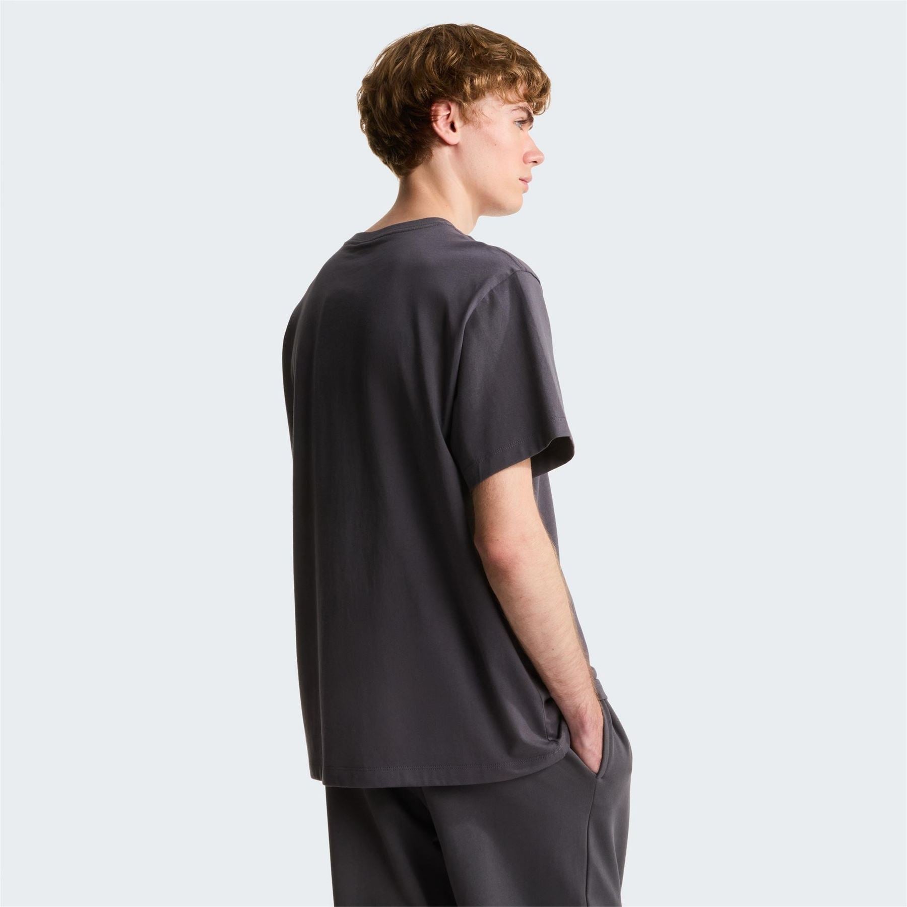The North Face Mens Ess Central Logo Tee