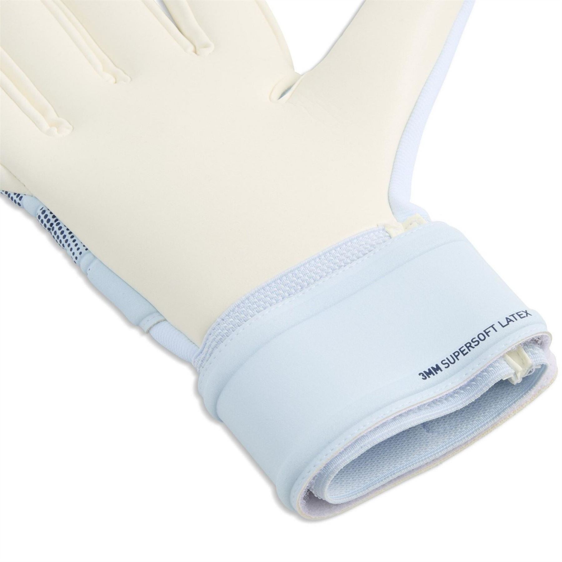 Puma Future Match Goalkeeper Glove Juniors