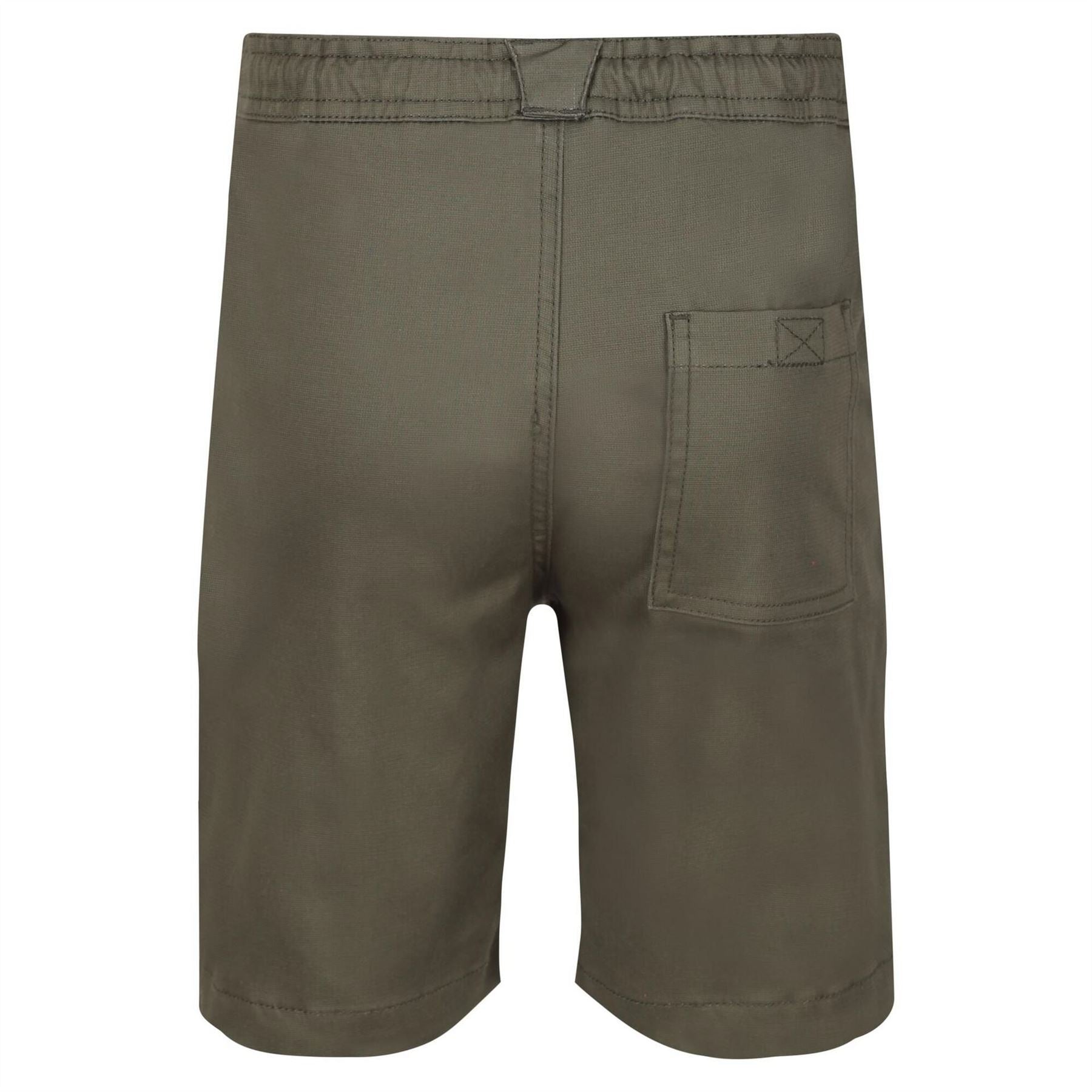 Regatta Alber Walking Shorts