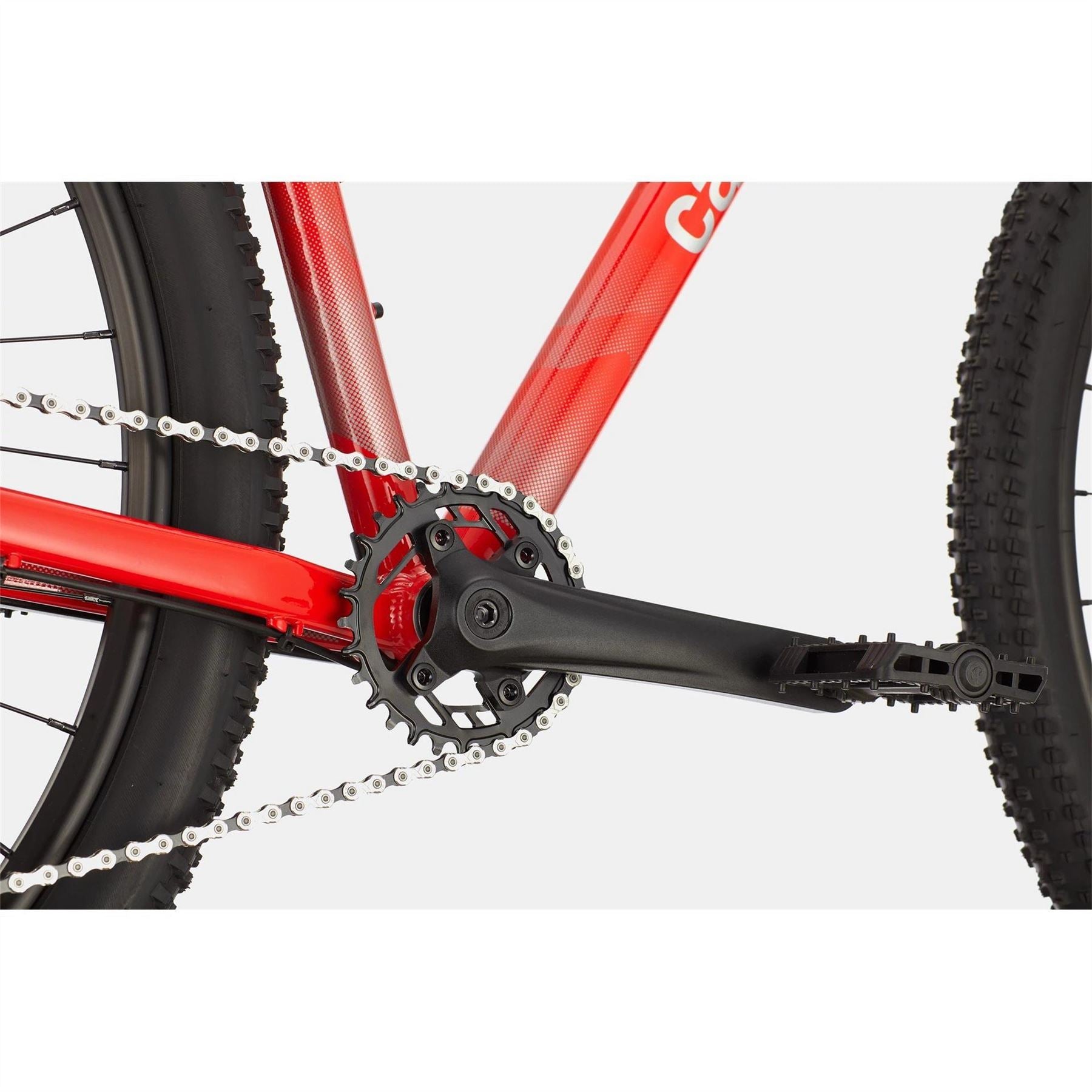 Cannondale 5 Mountain Bike