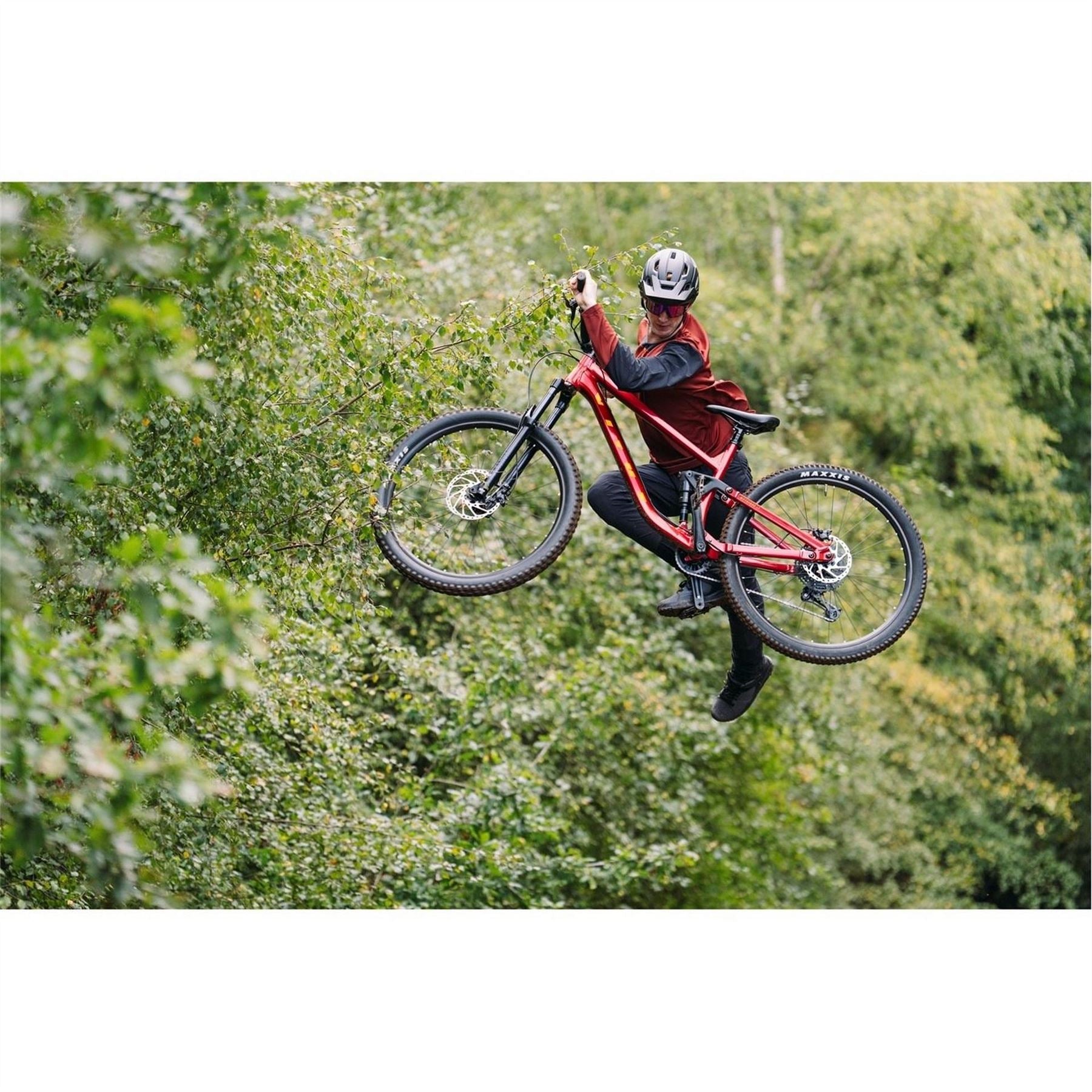 Vitus 2026 Mountain Bike