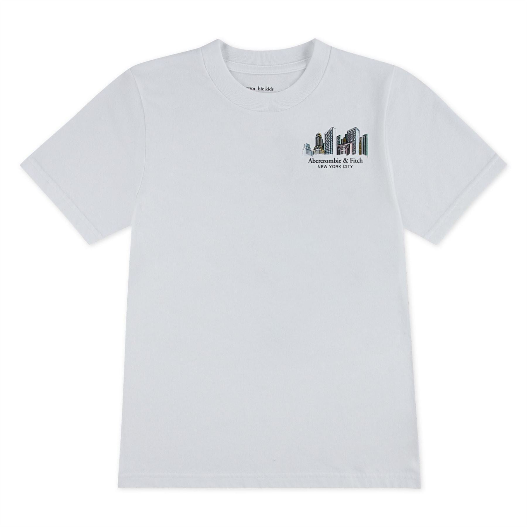 Abercrombie and Fitch And F Sketch Tee Jn62
