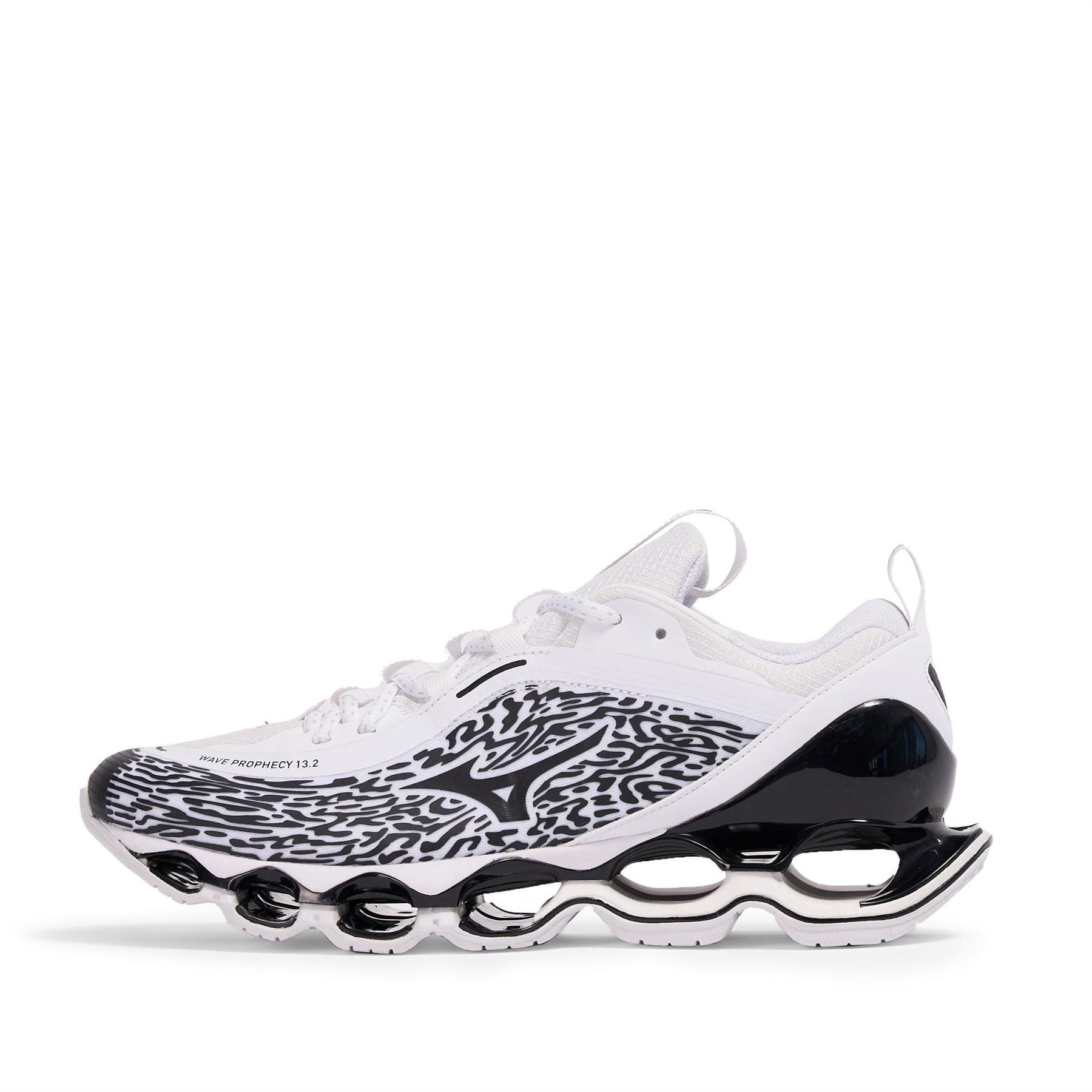 Mizuno Wave Prophecy