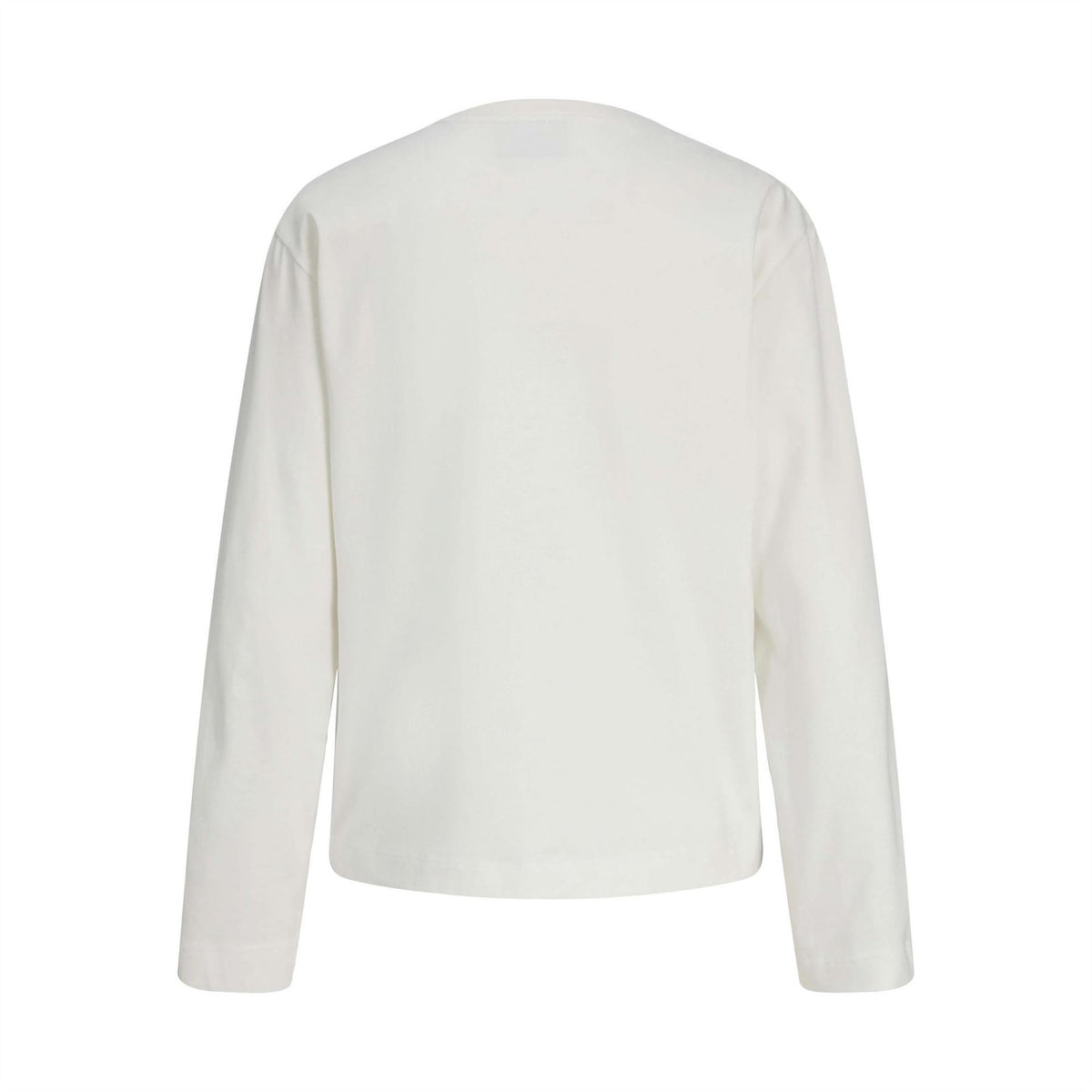 JJXX Sophia Boxy Fit Crew Neck Long Sleeve T-Shirt