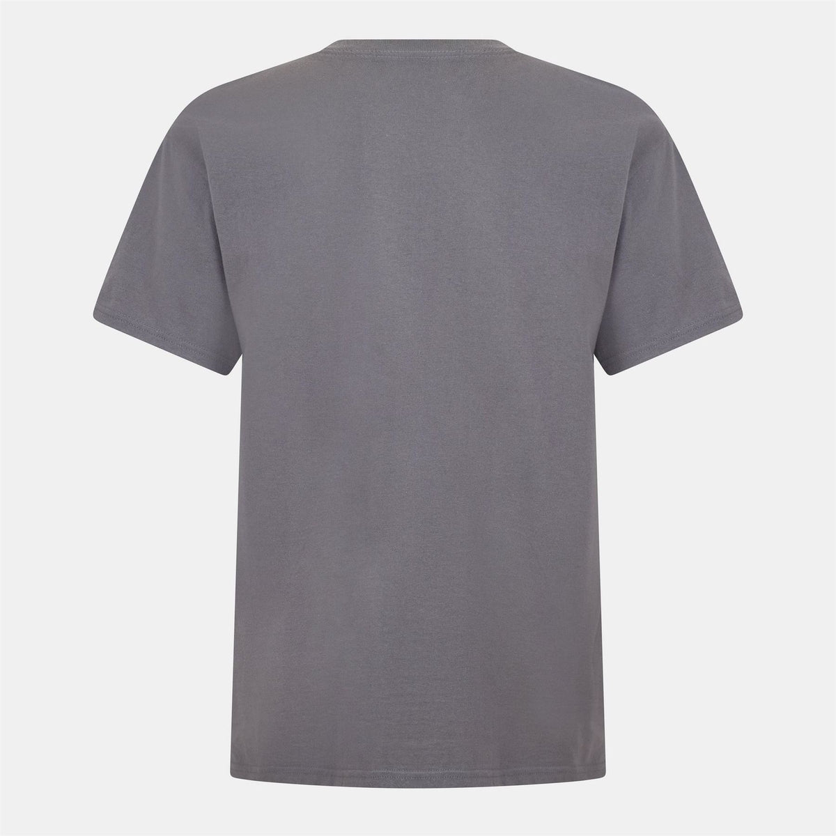 Official Regular Fit Band T-Shirt