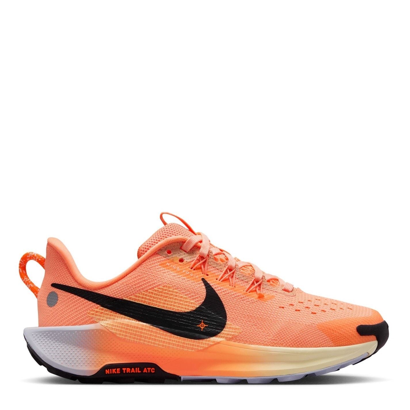 Nike Pegasus Trail Low Top Sneakers
