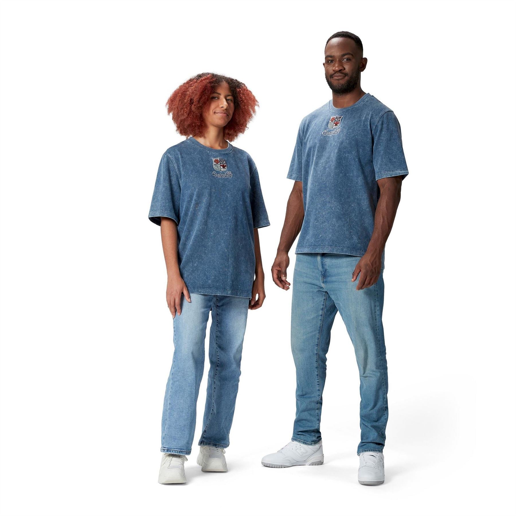 Canterbury Mens British  And  Irish Lions Heritage T-Shirt 2025