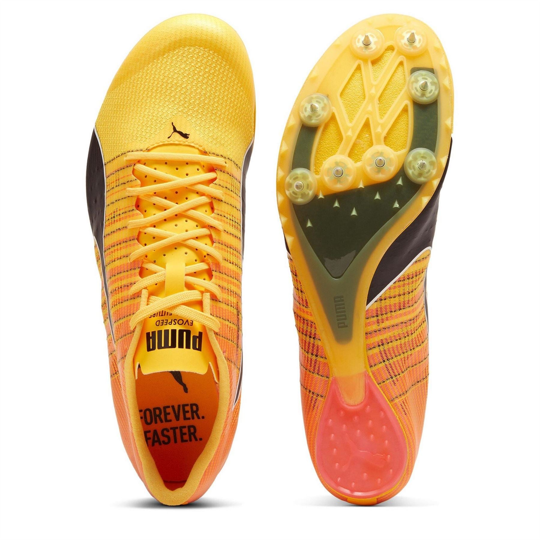 Puma Evospeed Future 6 Track Running Spikes