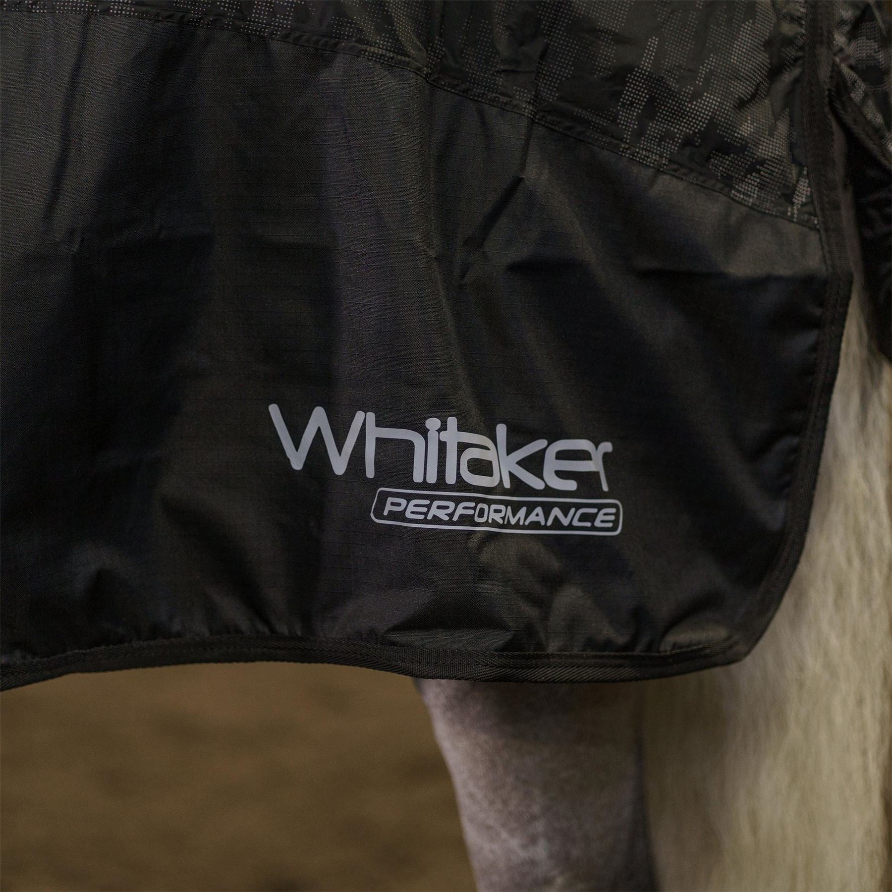 John Whitaker Sydney Exsheet