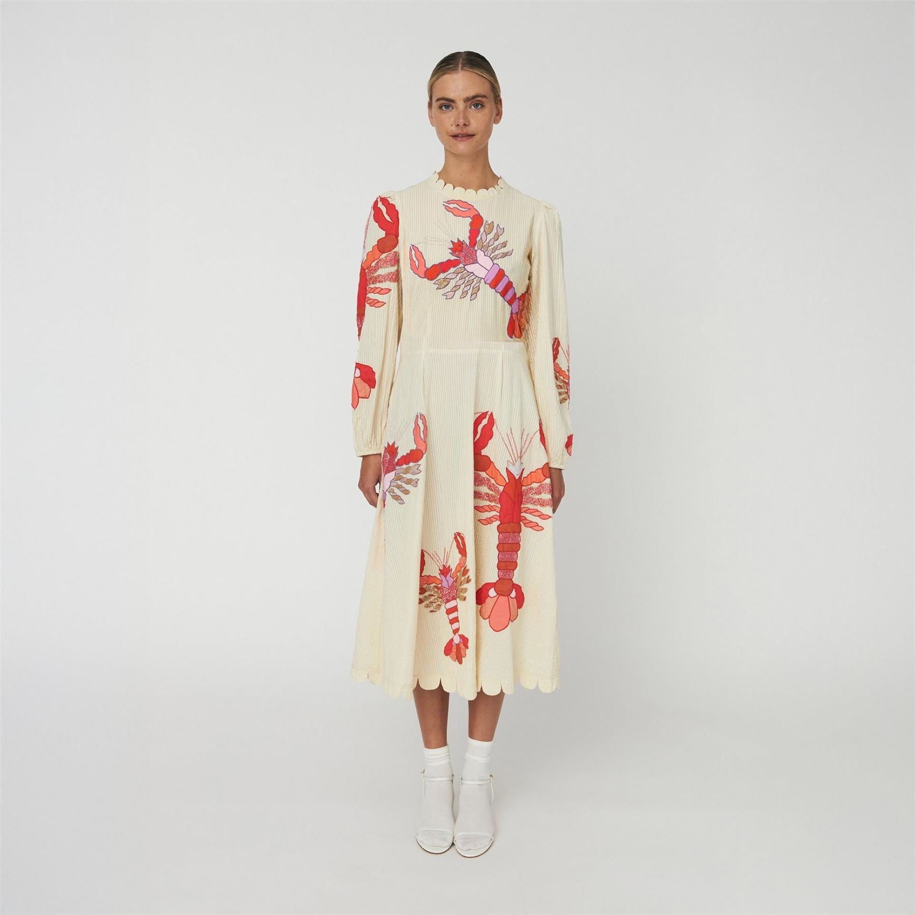 Stella Nova Nova Embroidered Midi Dress   Multicolour