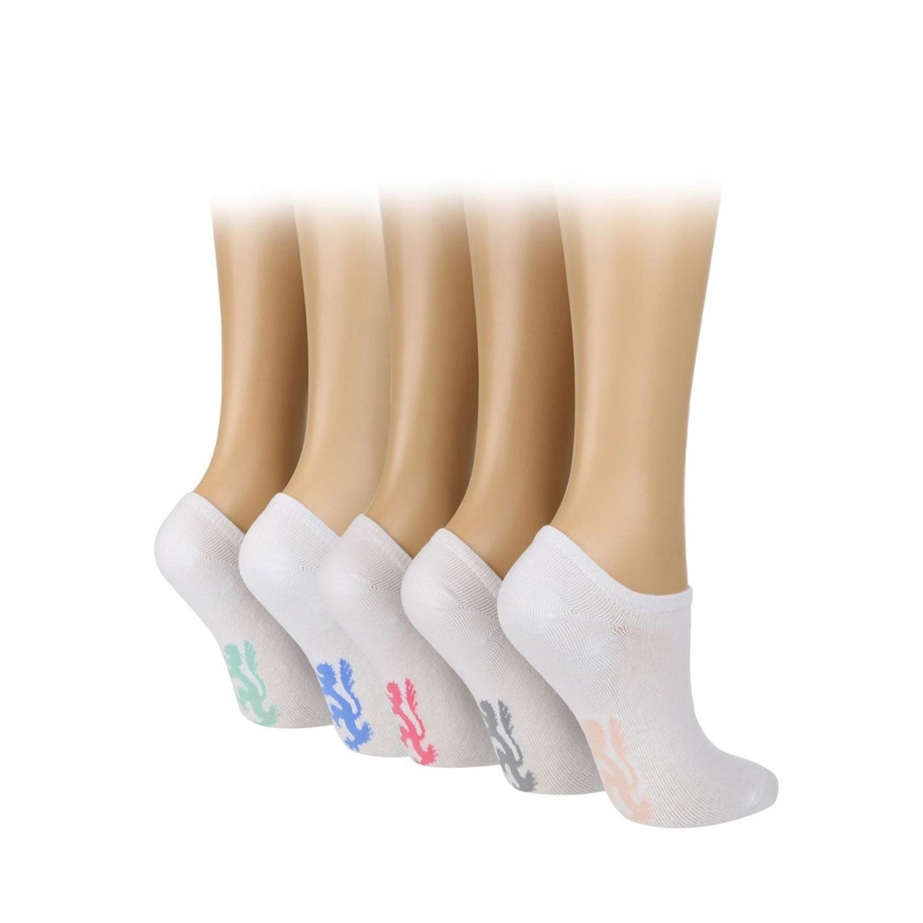 Pringle 5 Pack No Show Trainer Socks