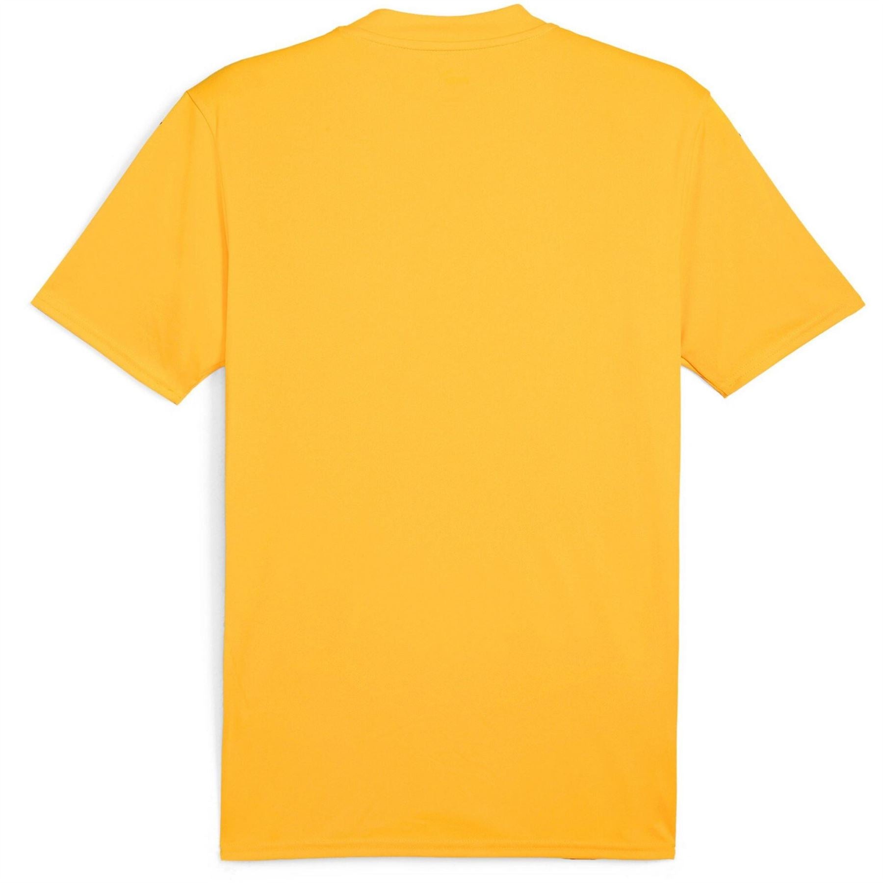 Puma Mens Teamglory Jersey T-Shirt