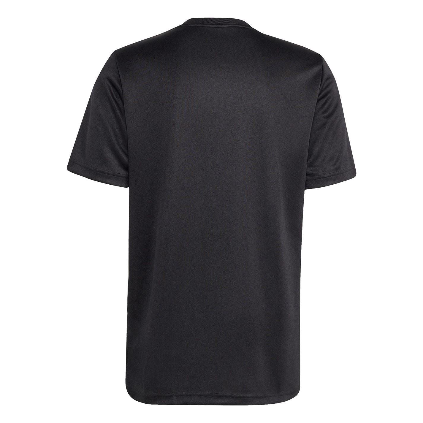adidas Mens All Blacks Supporter T-Shirt 2024