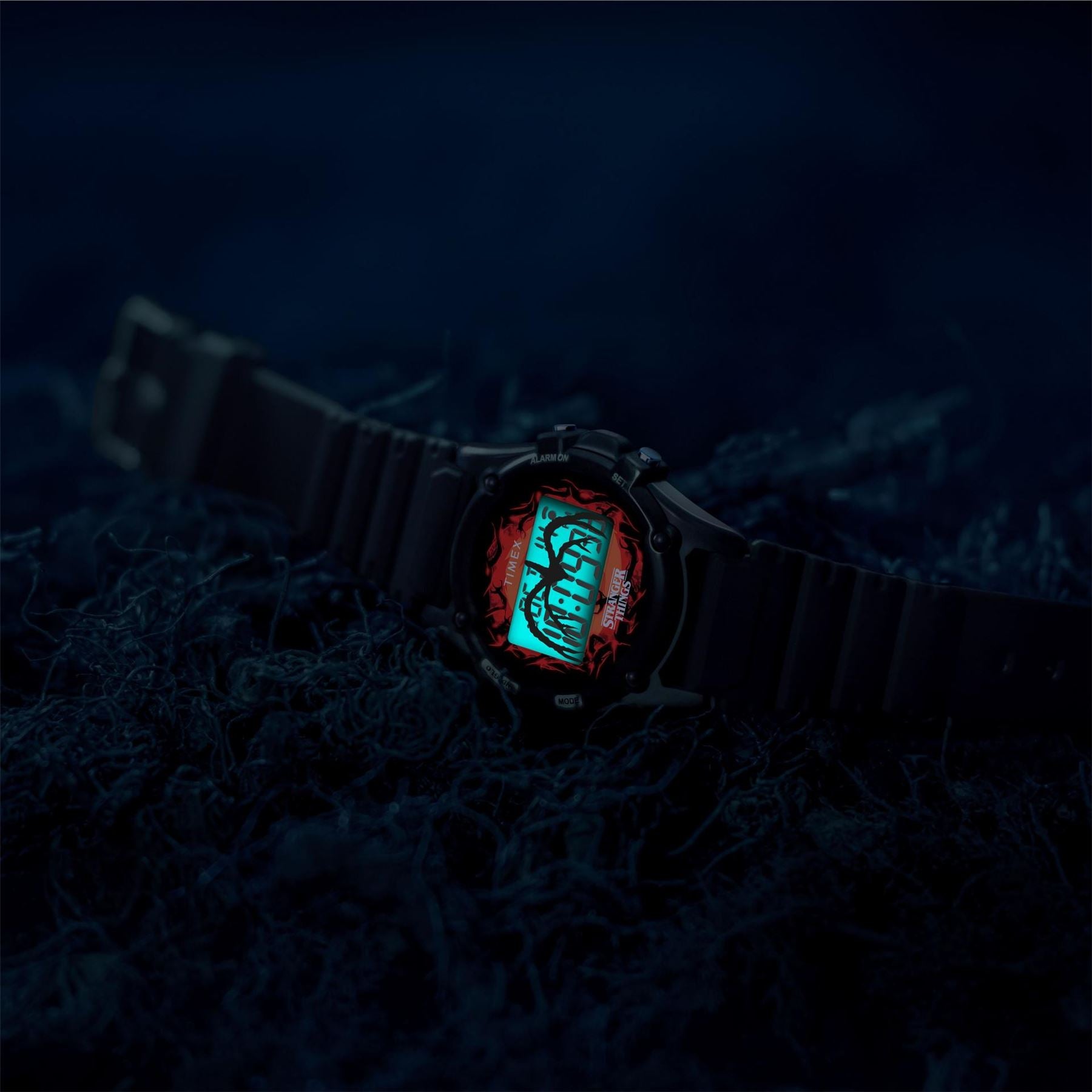 Timex Watch