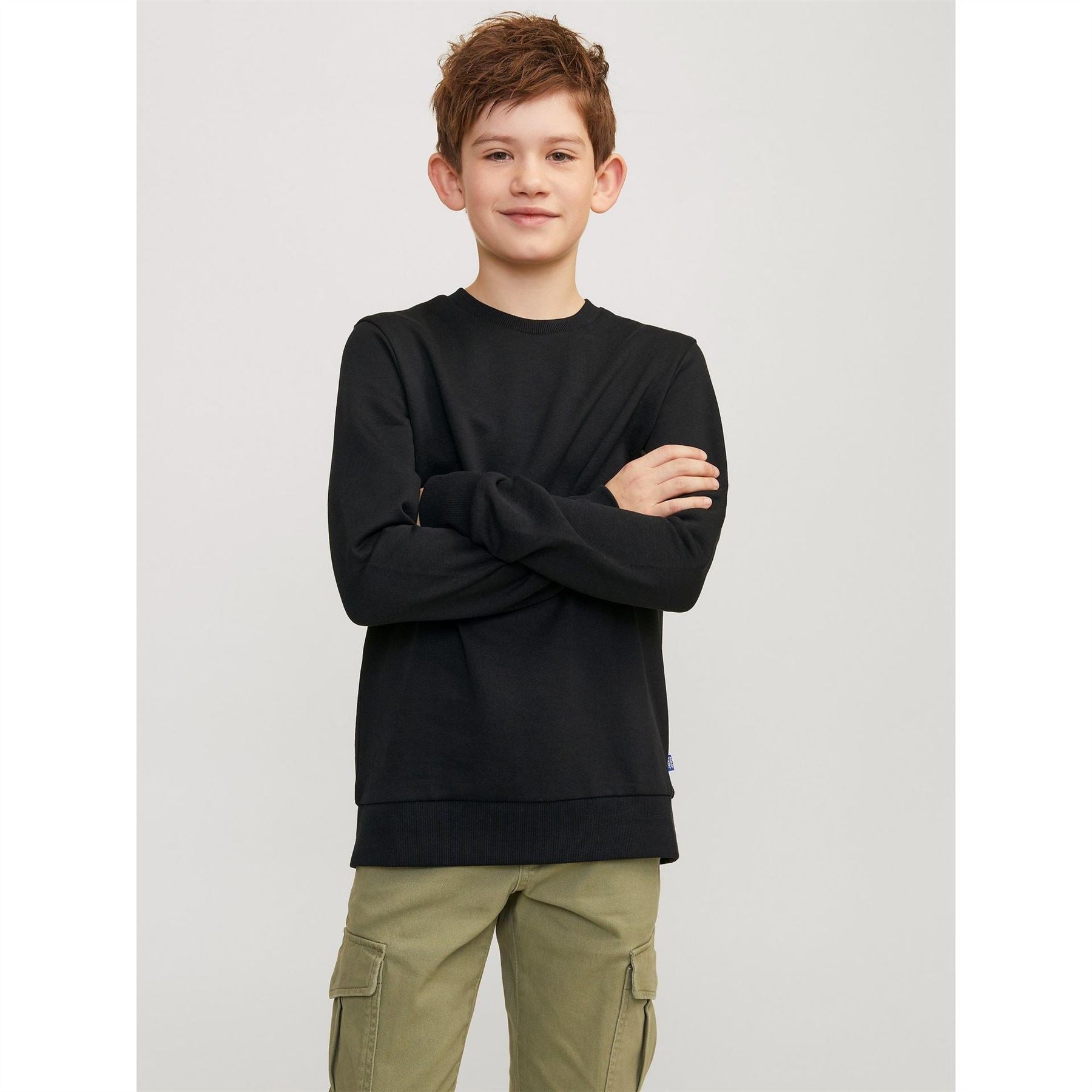 Jack and Jones Crew Neck Regular Fit Long Sleeve Sweater