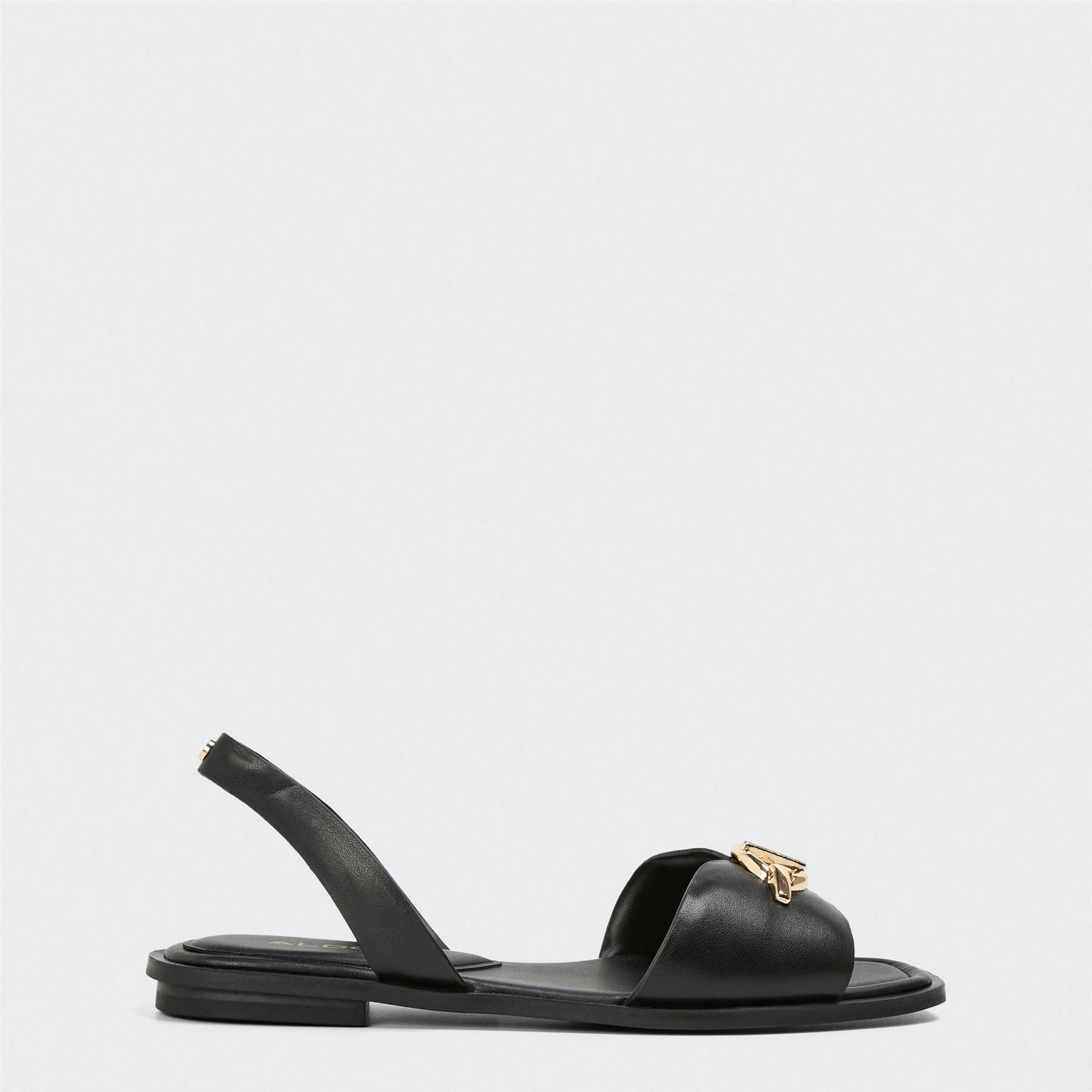 Aldo Goassi Flat Sandals