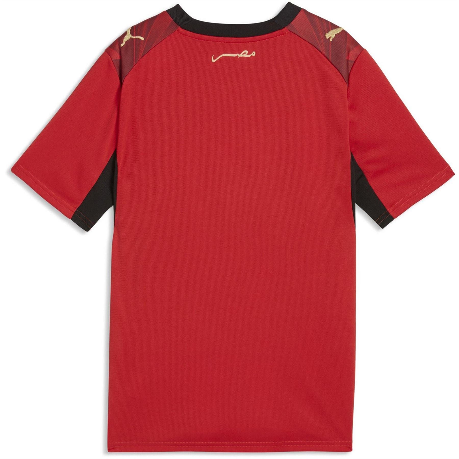 Puma Egypt 2026 Football Shirt