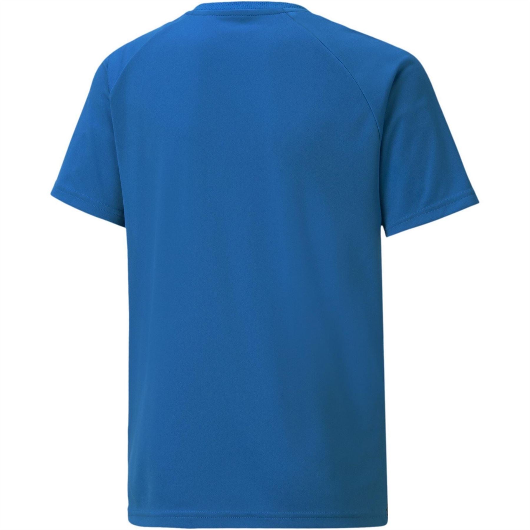 Puma Teamliga Striped Jersey Jr T-Shirt Unisex Kids