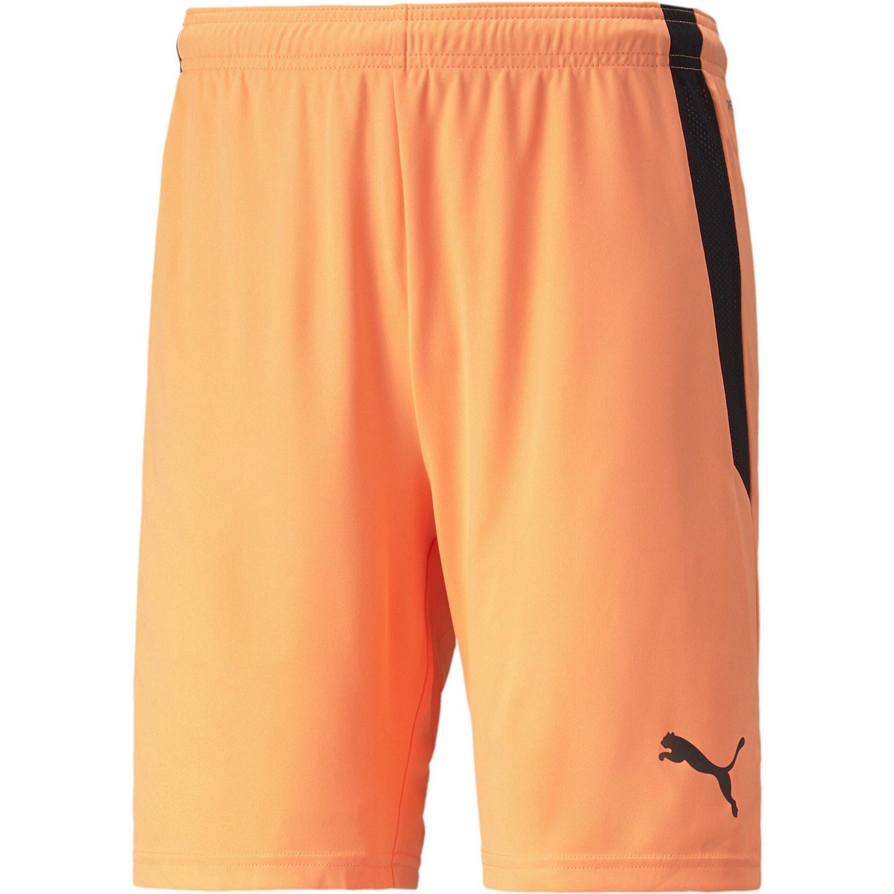 Puma Mens Teamliga Shorts Football Shorts