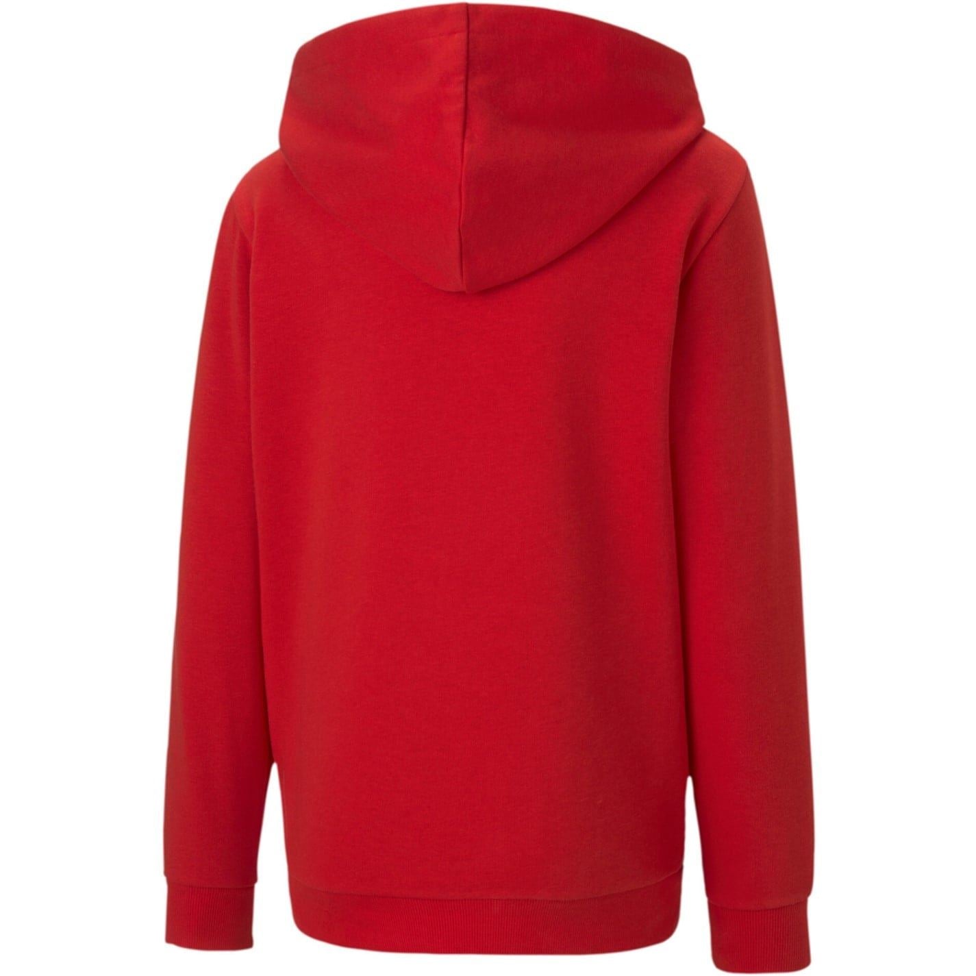 Puma Teamgoal 23 Casuals Zip Hoodie