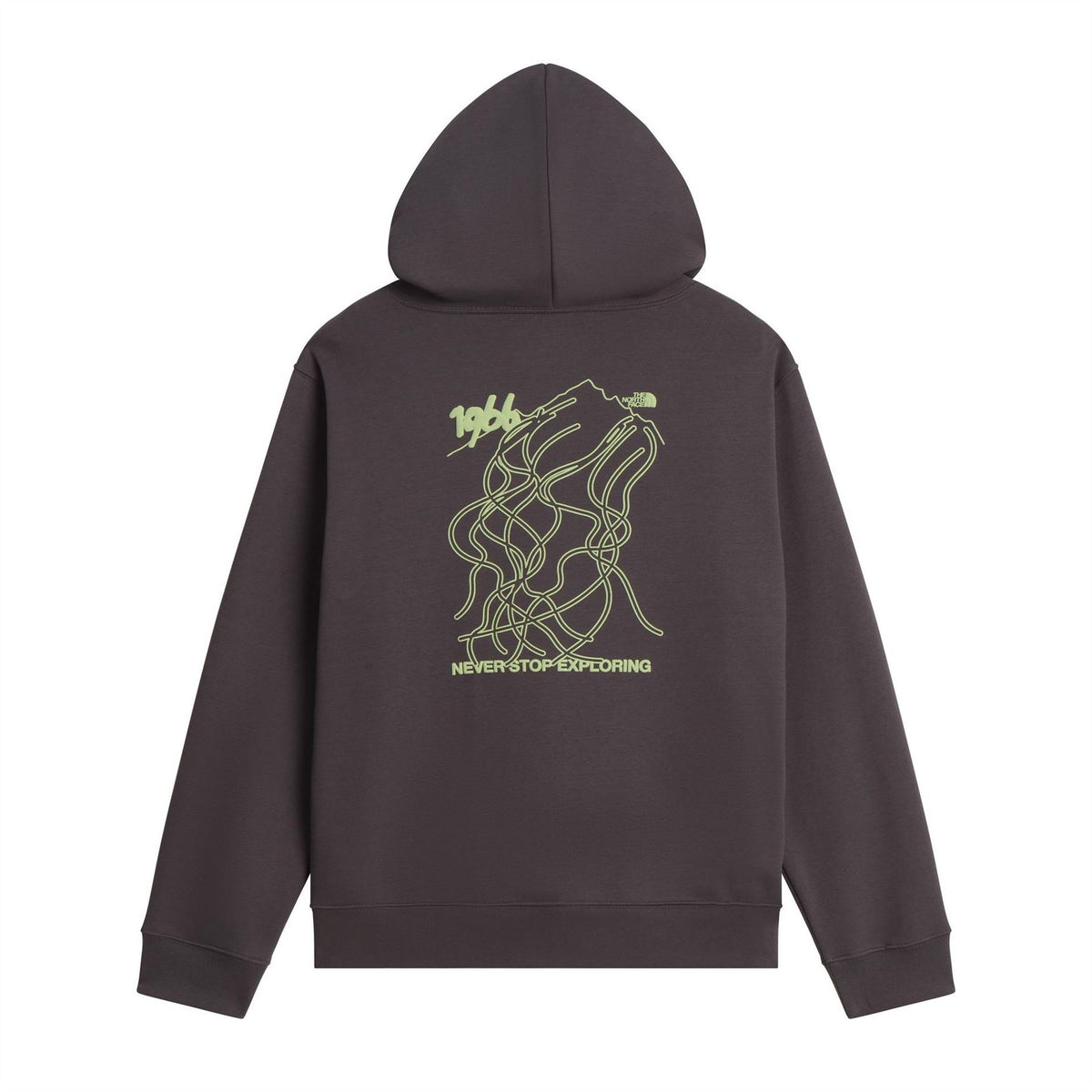 The North Face Nse Graphic Over The Head Cotton Hoodie