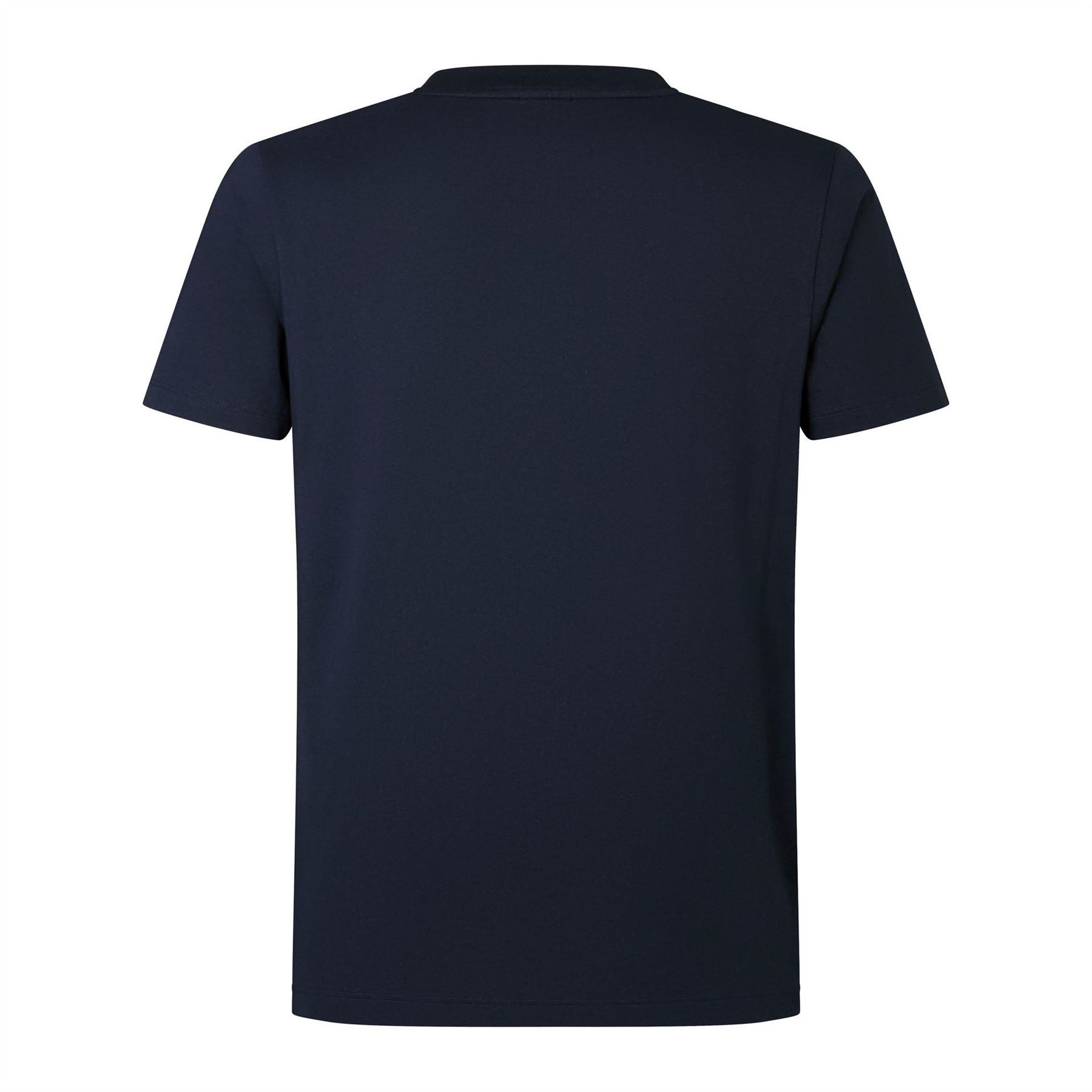 Canterbury British And Irish Lions T-Shirt 2024 Adults