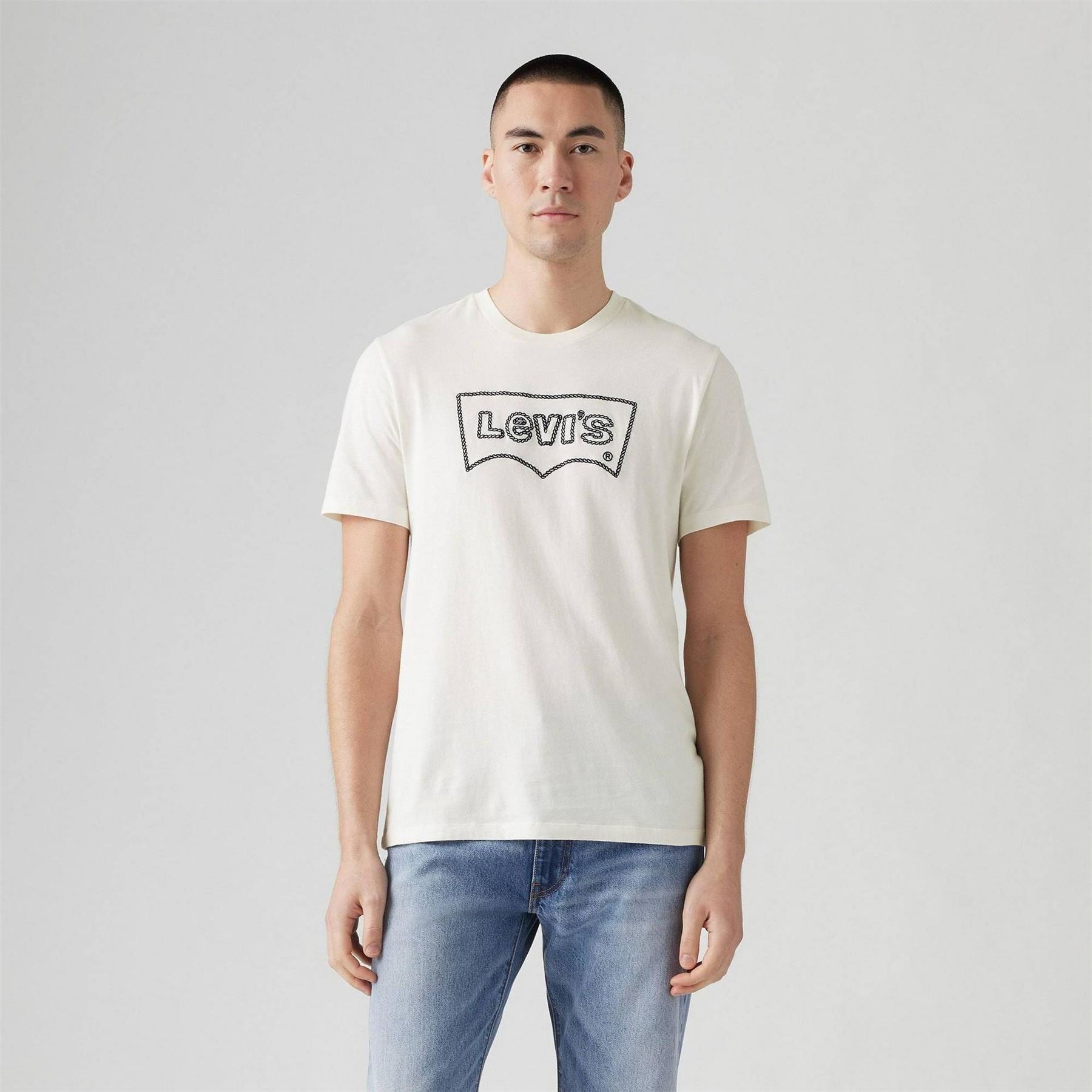 Levis Graphic Crewneck Regular Fit T-Shirt