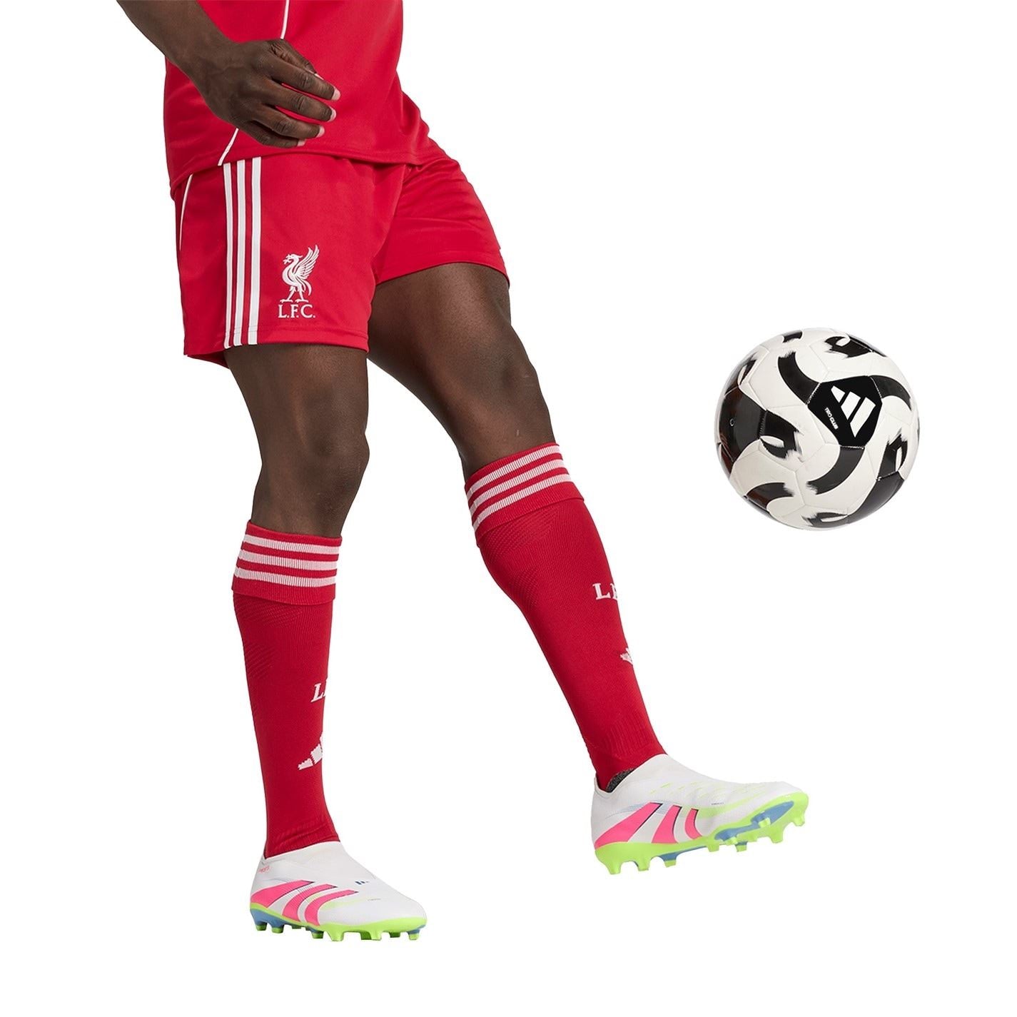 adidas Liverpool Home Shorts 2025 2026 Adults