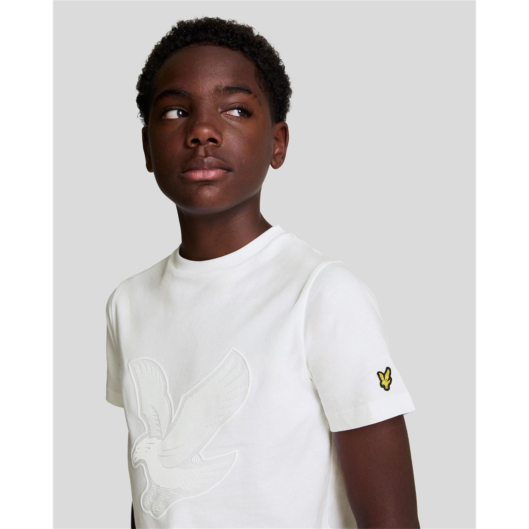 Lyle and Scott Graphic Regular Fit Crew Neck T-Shirt