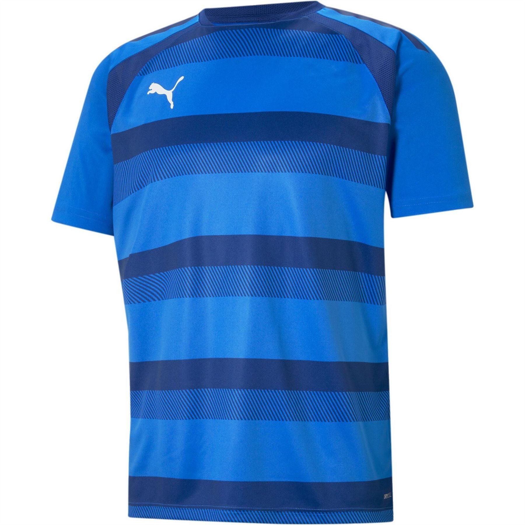 Puma Mens Teamvision Jersey T-Shirt