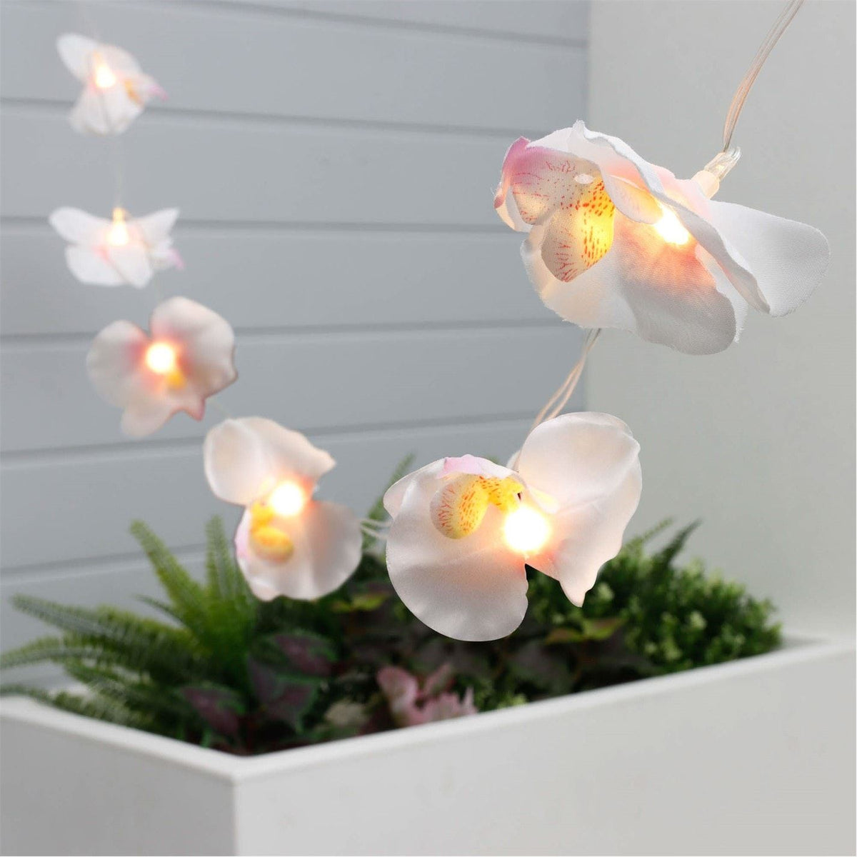 Streetwize Solar Lights