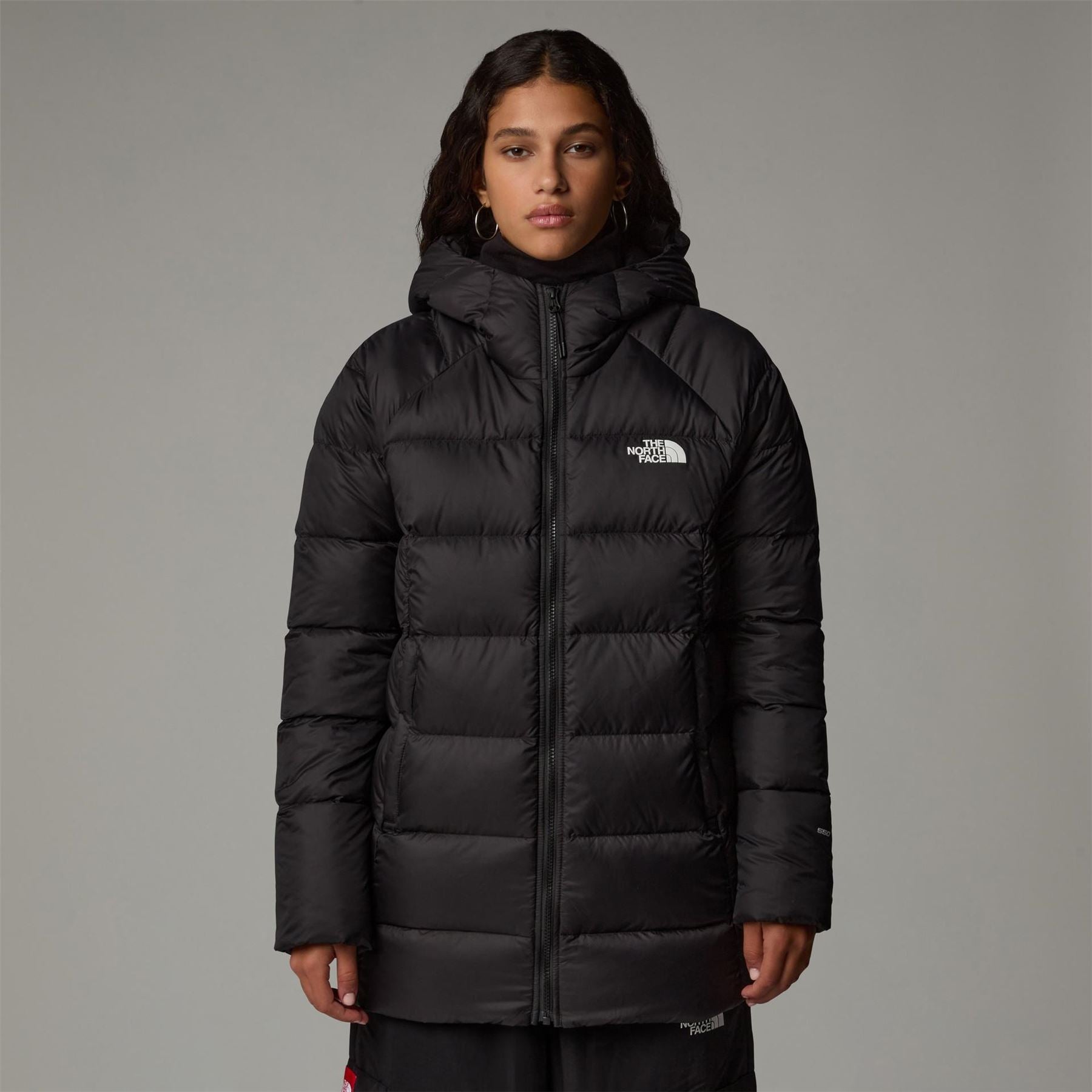 The North Face Hyalite Down Hooded Parka