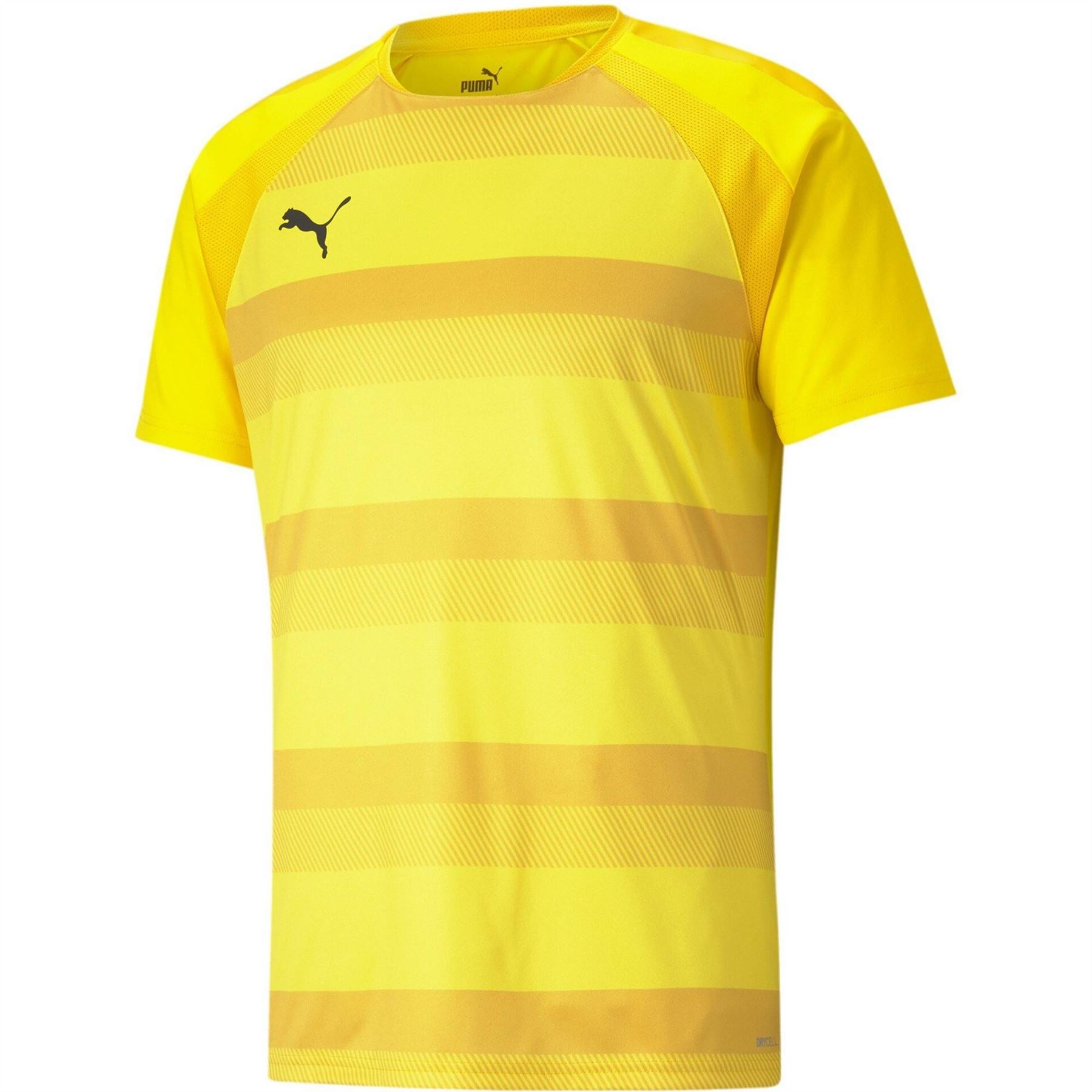 Puma Mens Teamvision Jersey T-Shirt