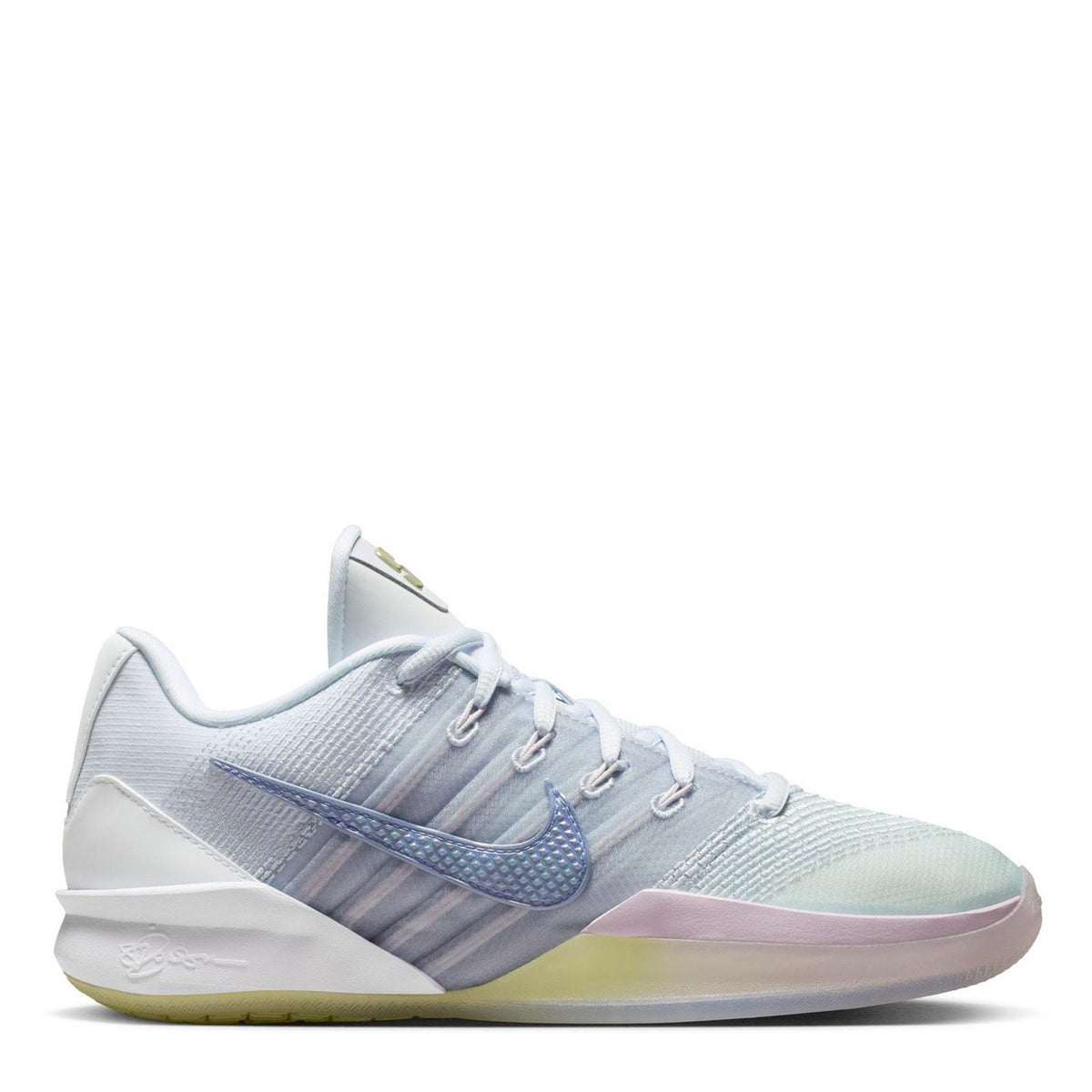 Nike Basketball Trainers