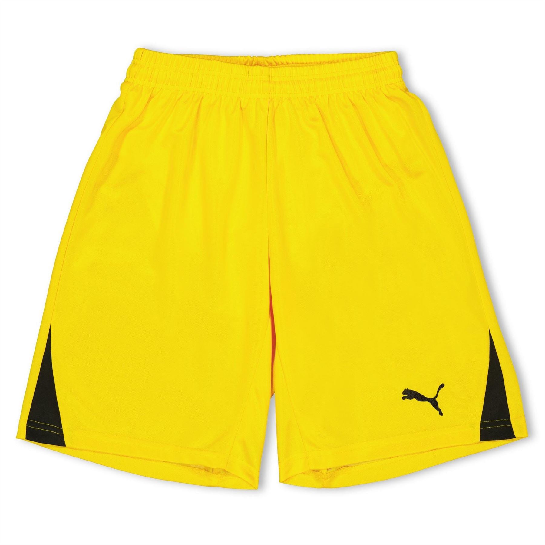 Puma Fb Team Shorts With Brief Juniors