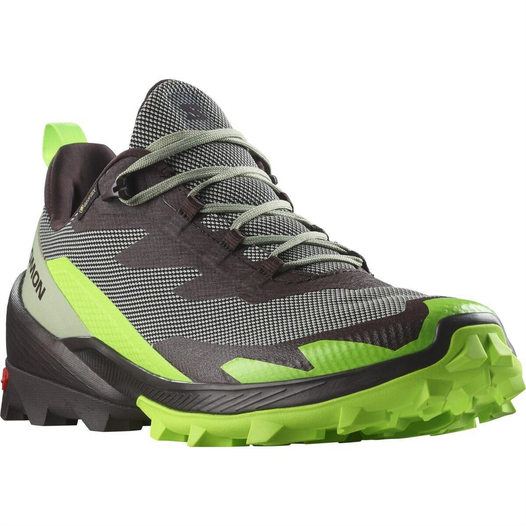 Salomon Mens 2 GorE-Tex Walking Shoe
